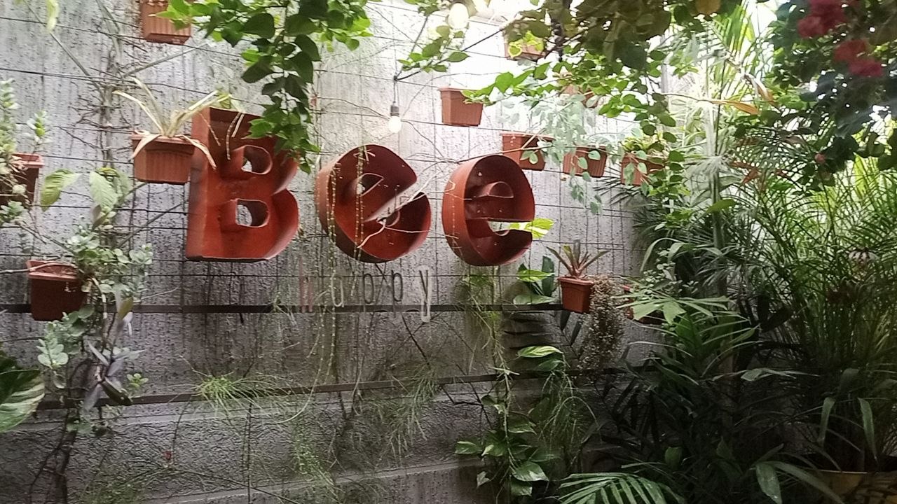 1001455078.jpg