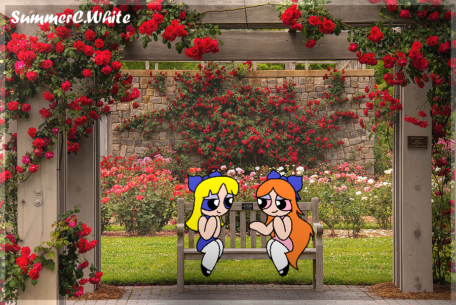 ddrl8dy-11f9a9d6-4729-4c97-a1b4-26d1f751d15b.png