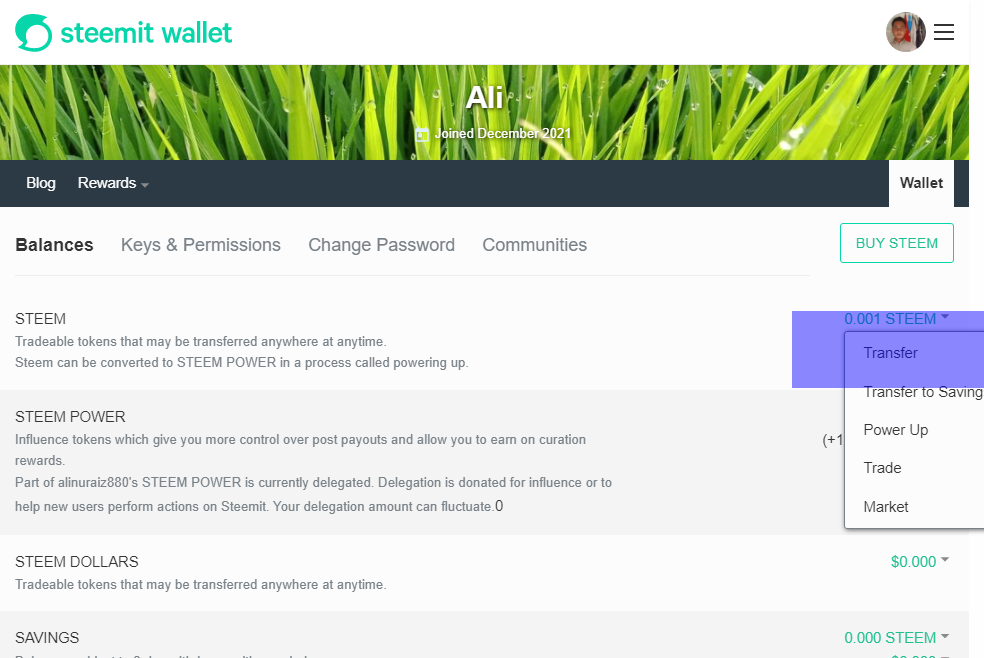 Opera Snapshot_2022-01-22_151852_steemitwallet.com.png
