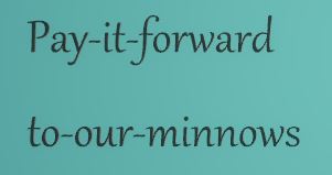 minnows.JPG