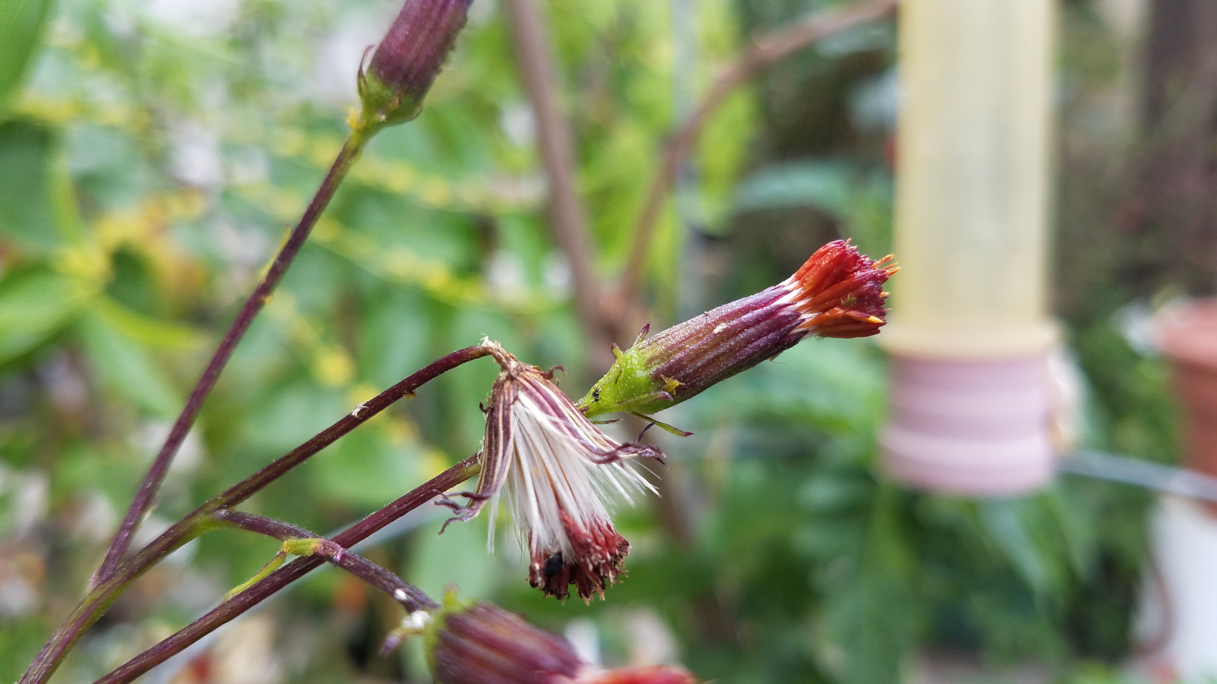 20180529_153810.jpg
