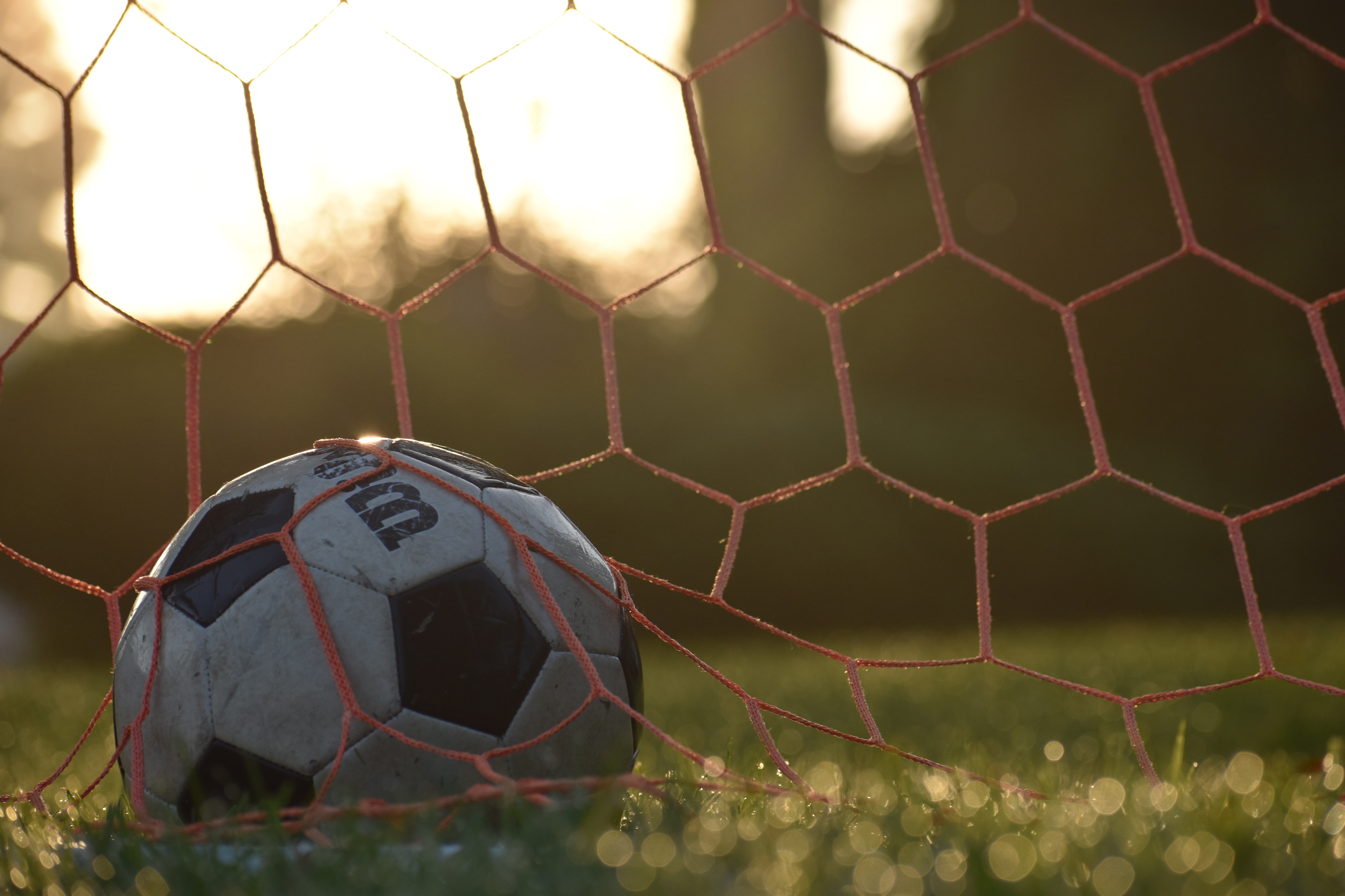 allgyerdaniel-soccer-5506110.jpg
