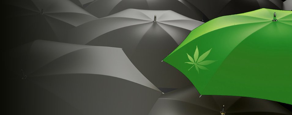 oregon-cannabis-manufacturing-and-property-insurance.jpg