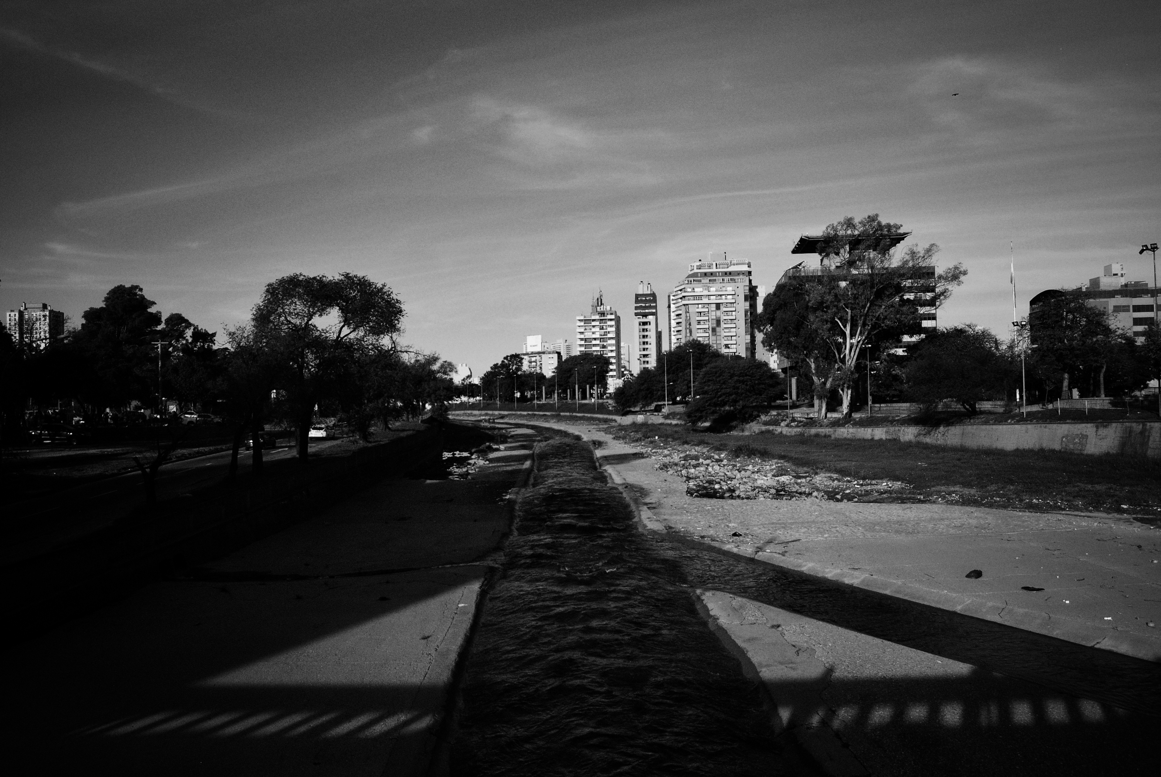 DSC_0498-01-01.jpeg