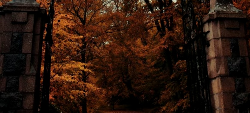 gate autumn.jpg