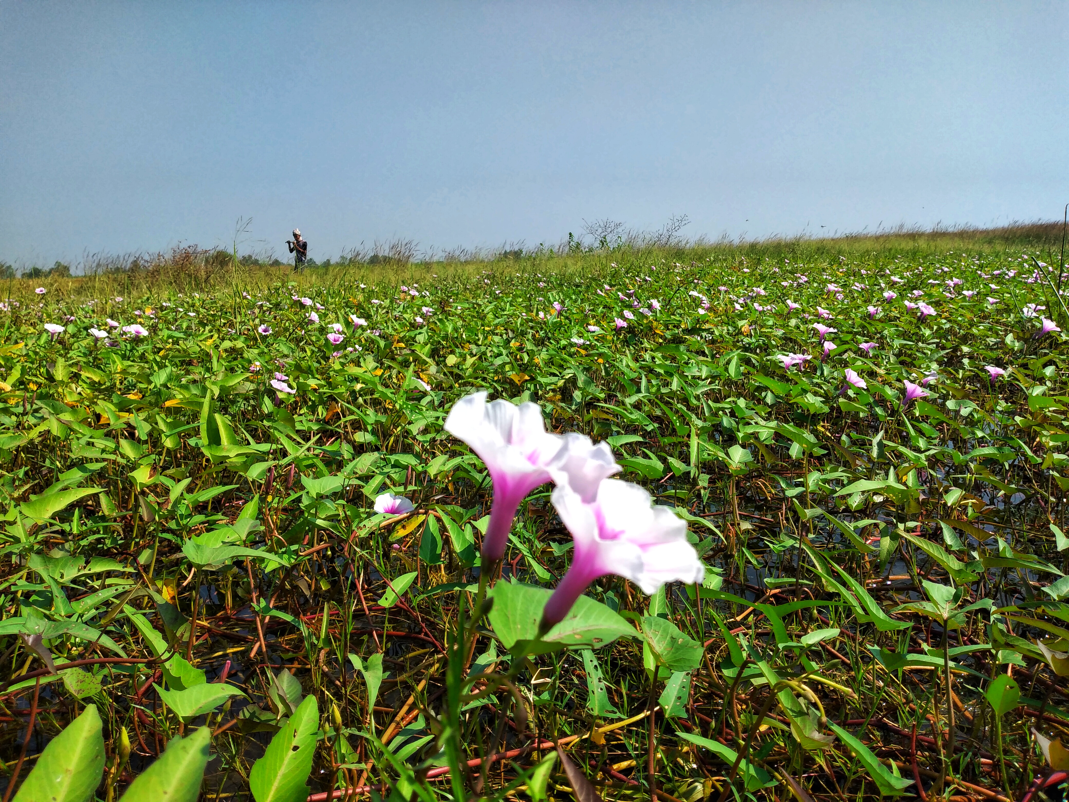 IMG_20211029_105605-01.jpeg