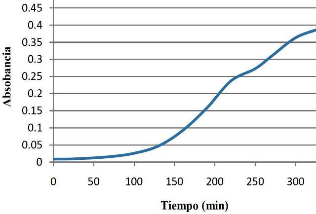 Imagen2.jpg