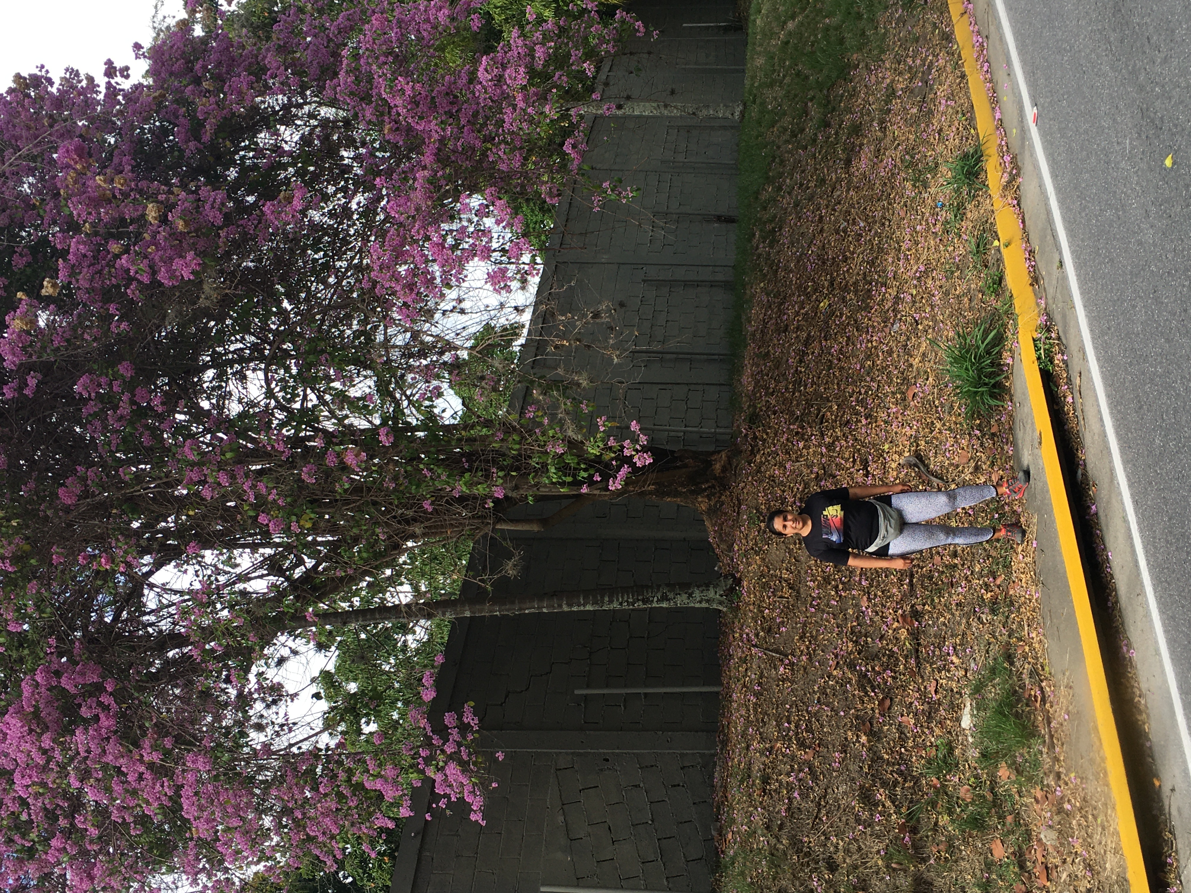 3D1671B9-C48B-48AA-9E78-EF9278FDE2FA.jpeg