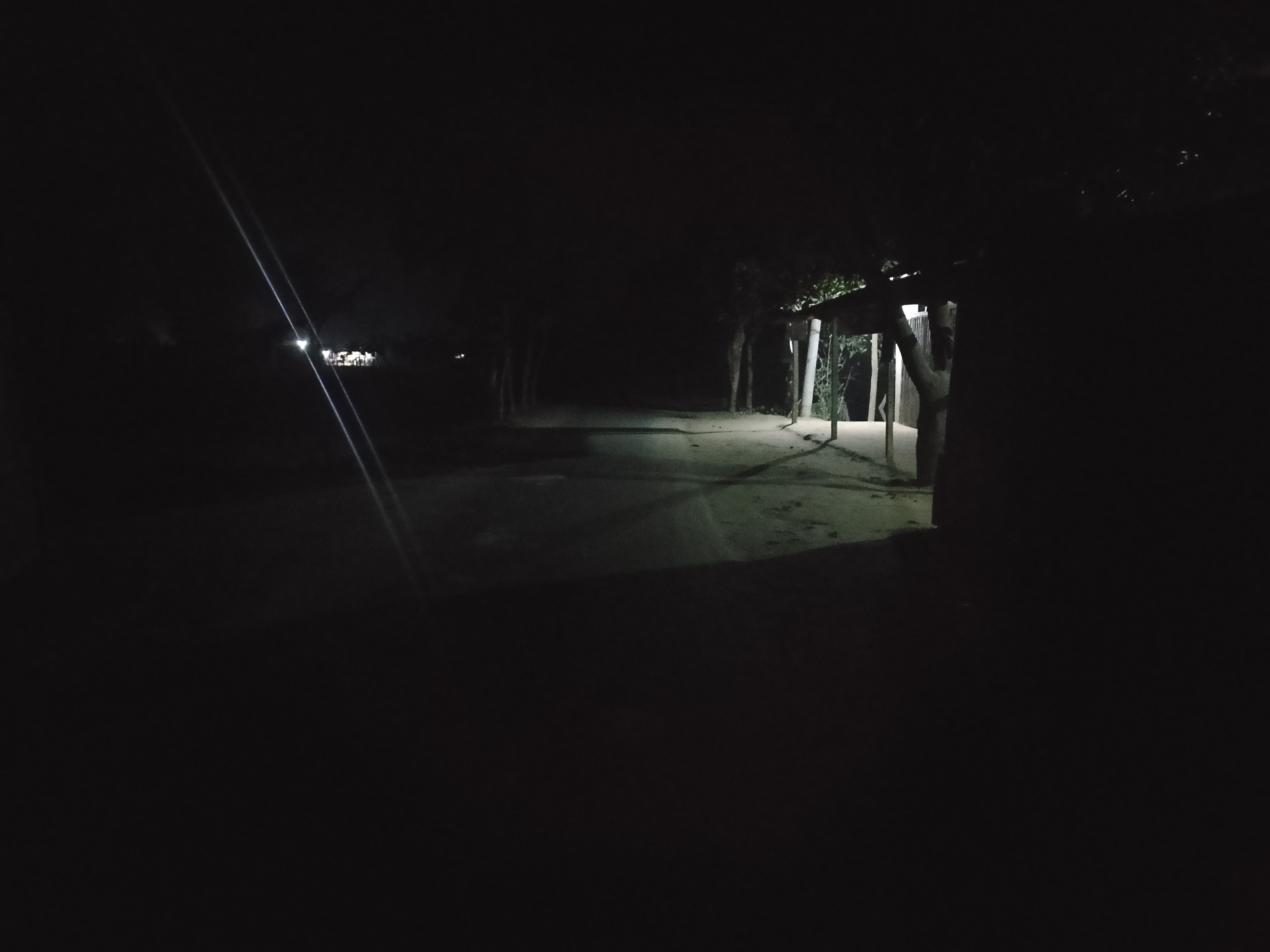 1000062921.jpg