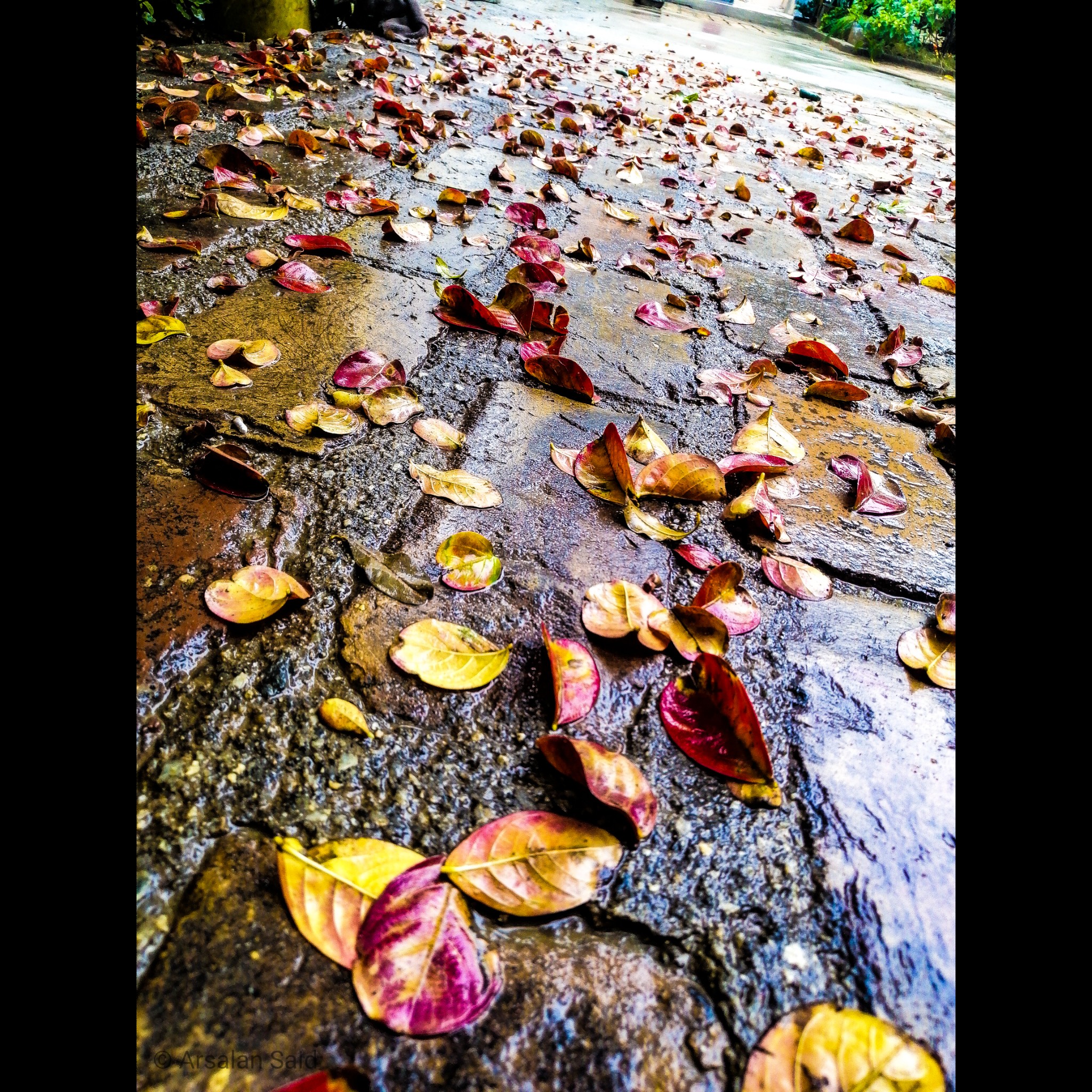 My Mobile photos That will Blow your Mind