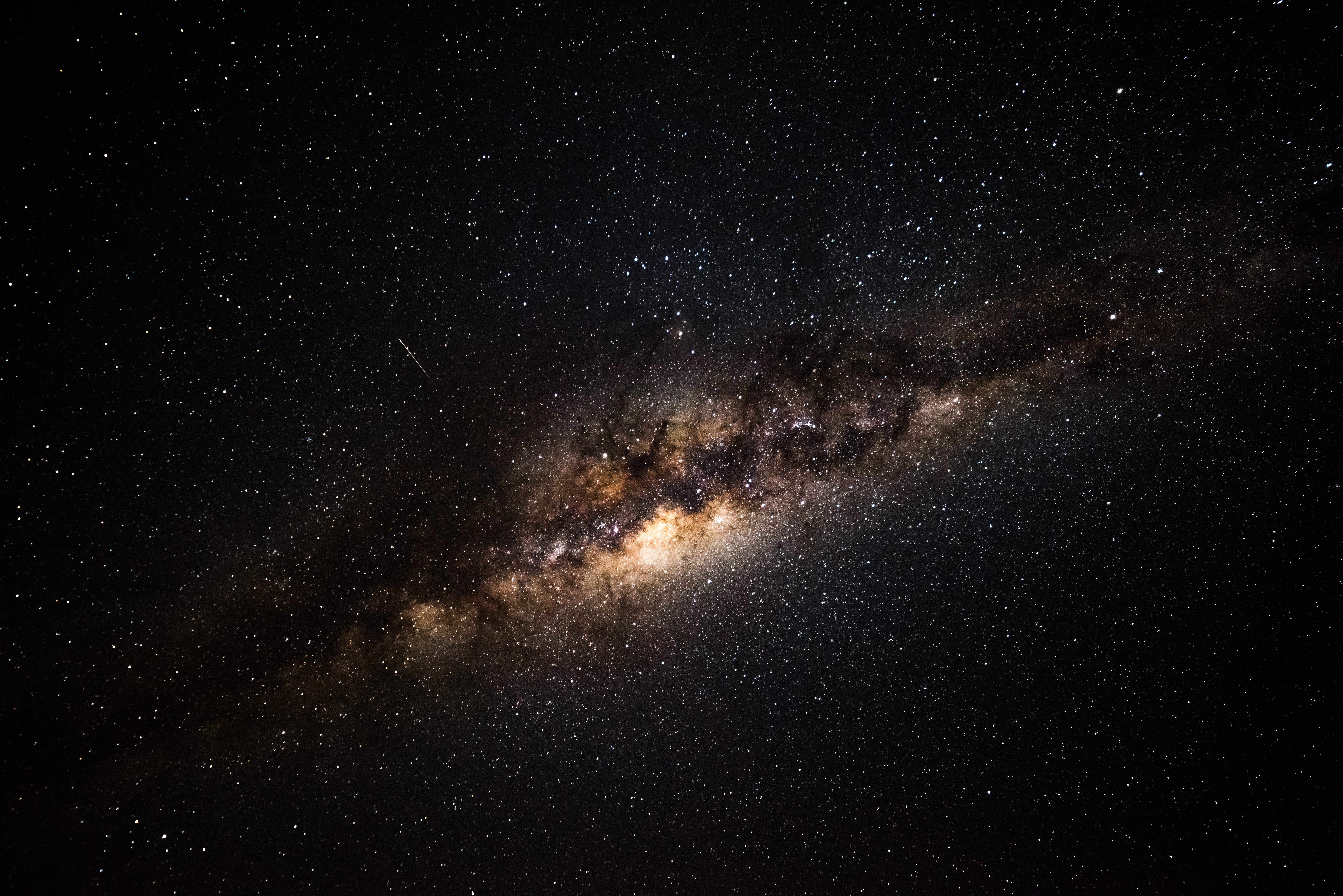 cosmos.jpg