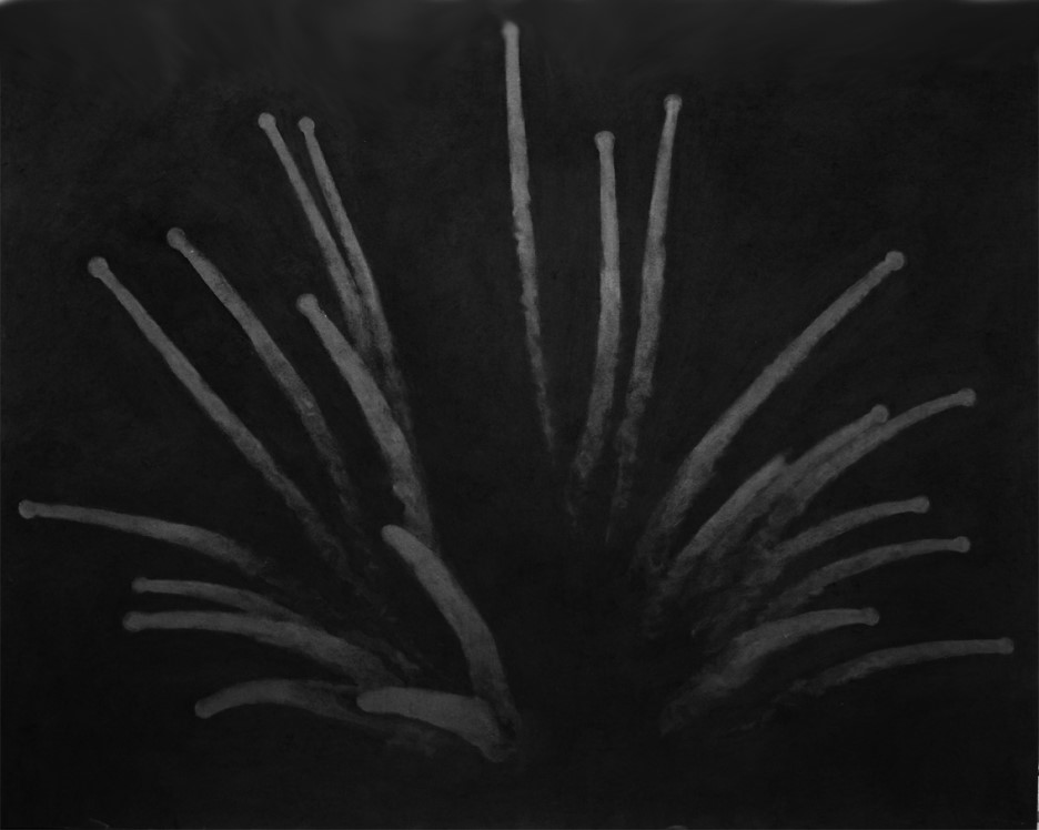 firework3_owogud.jpg