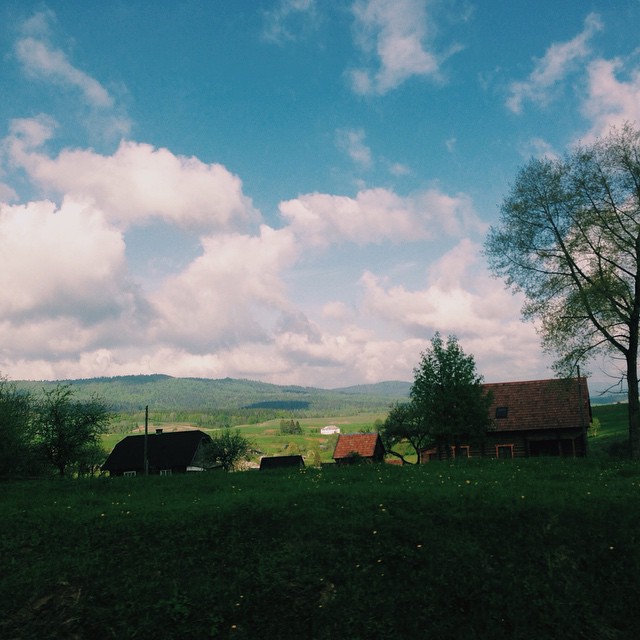 11312530_1599666380273991_484631591_n.jpg