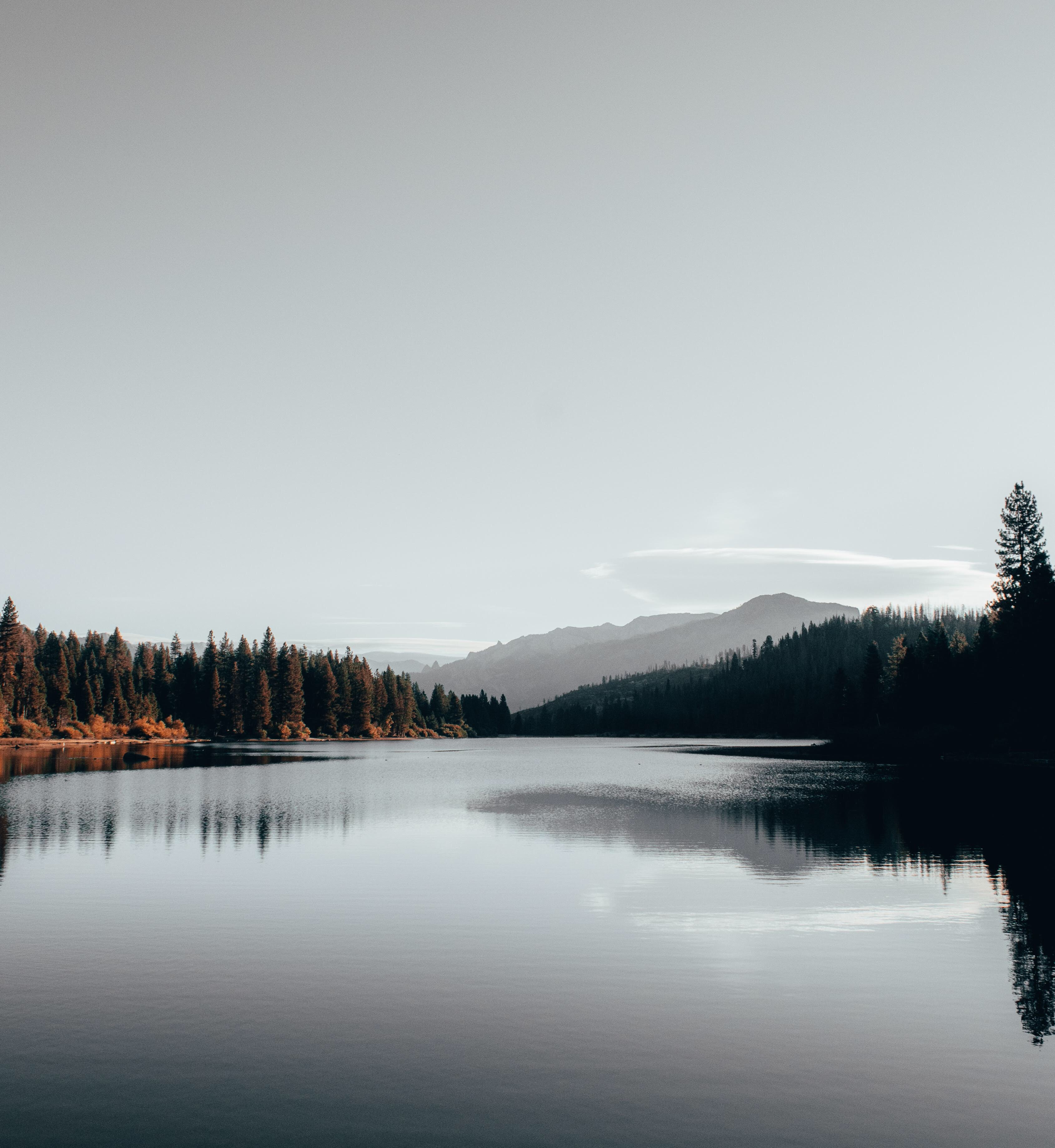 calm-environment-lake-2534617.jpg