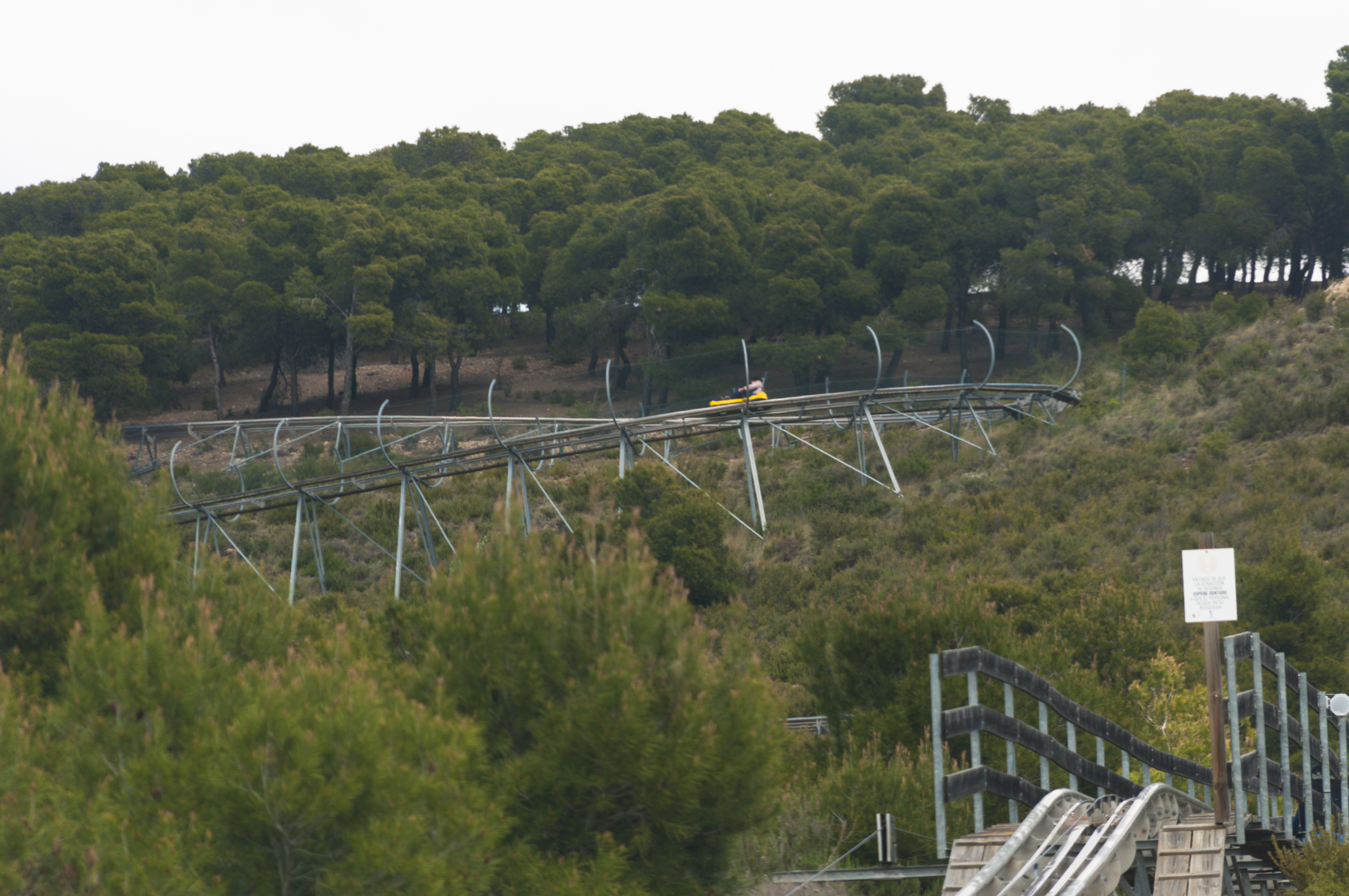 Senda Viva Mayo 2014 (50).jpg