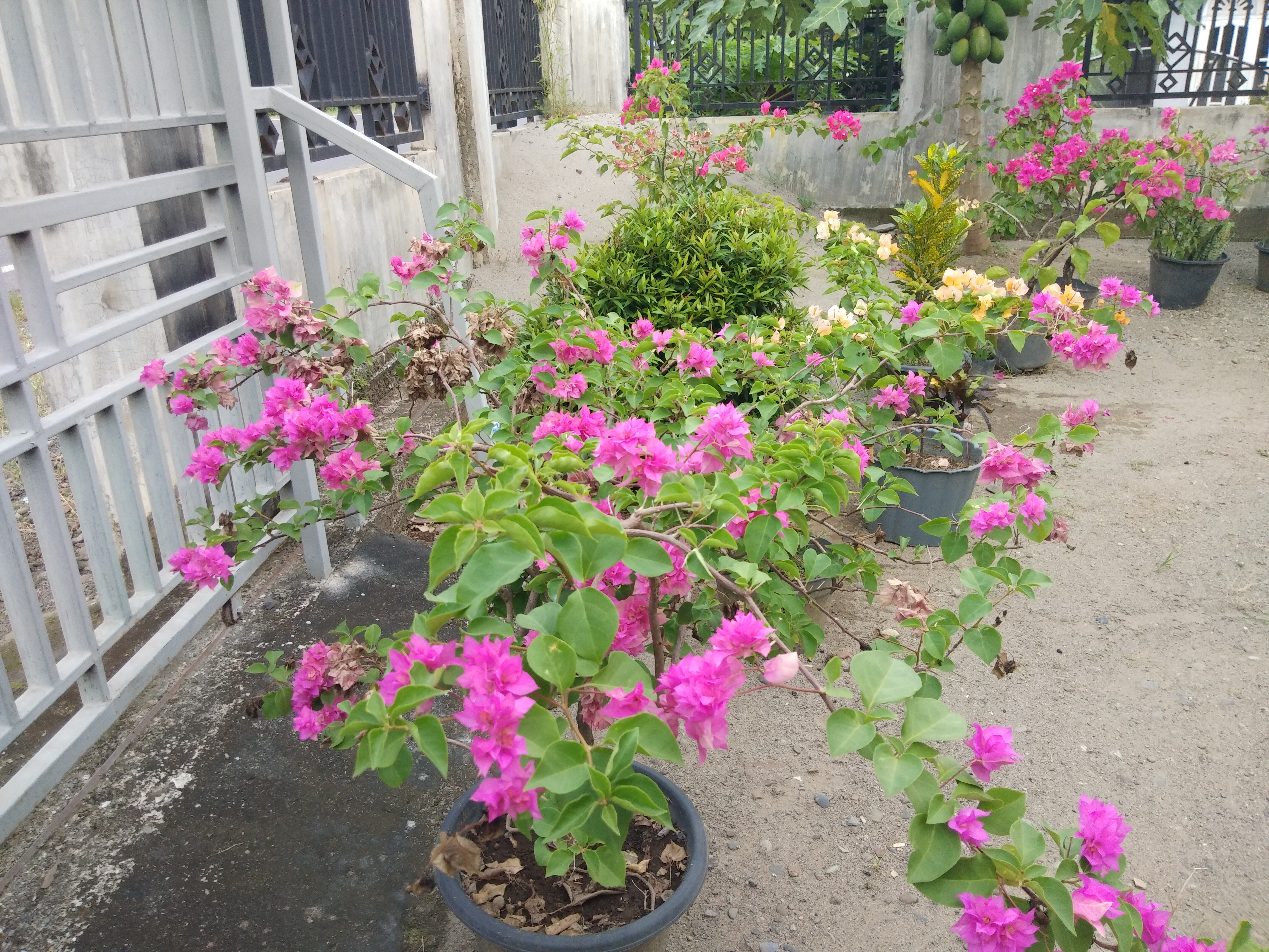 IMG_20220131_174108.jpg
