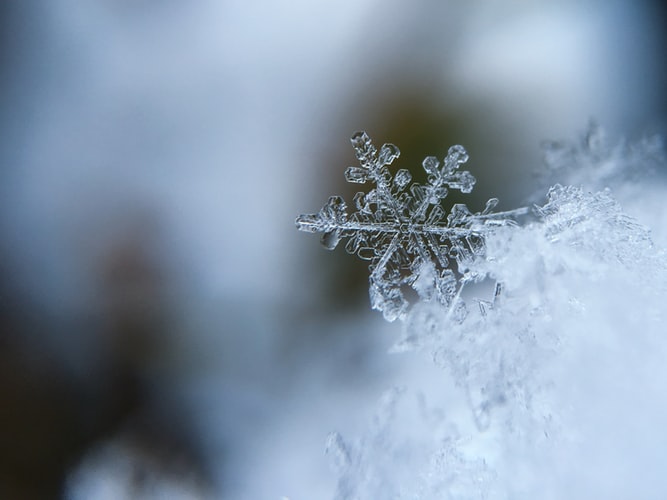 winter.jpg