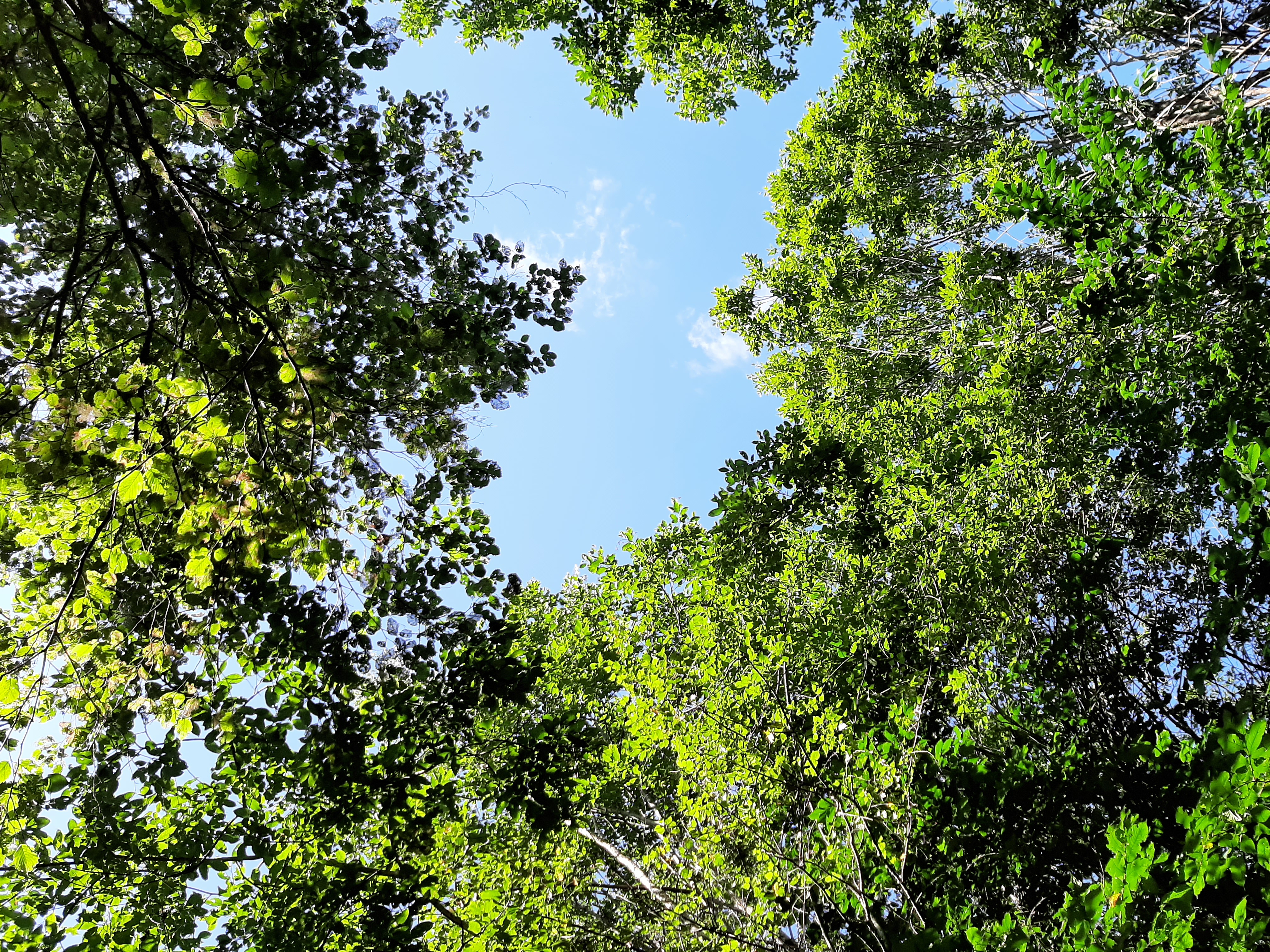 20260804_114033.jpg
