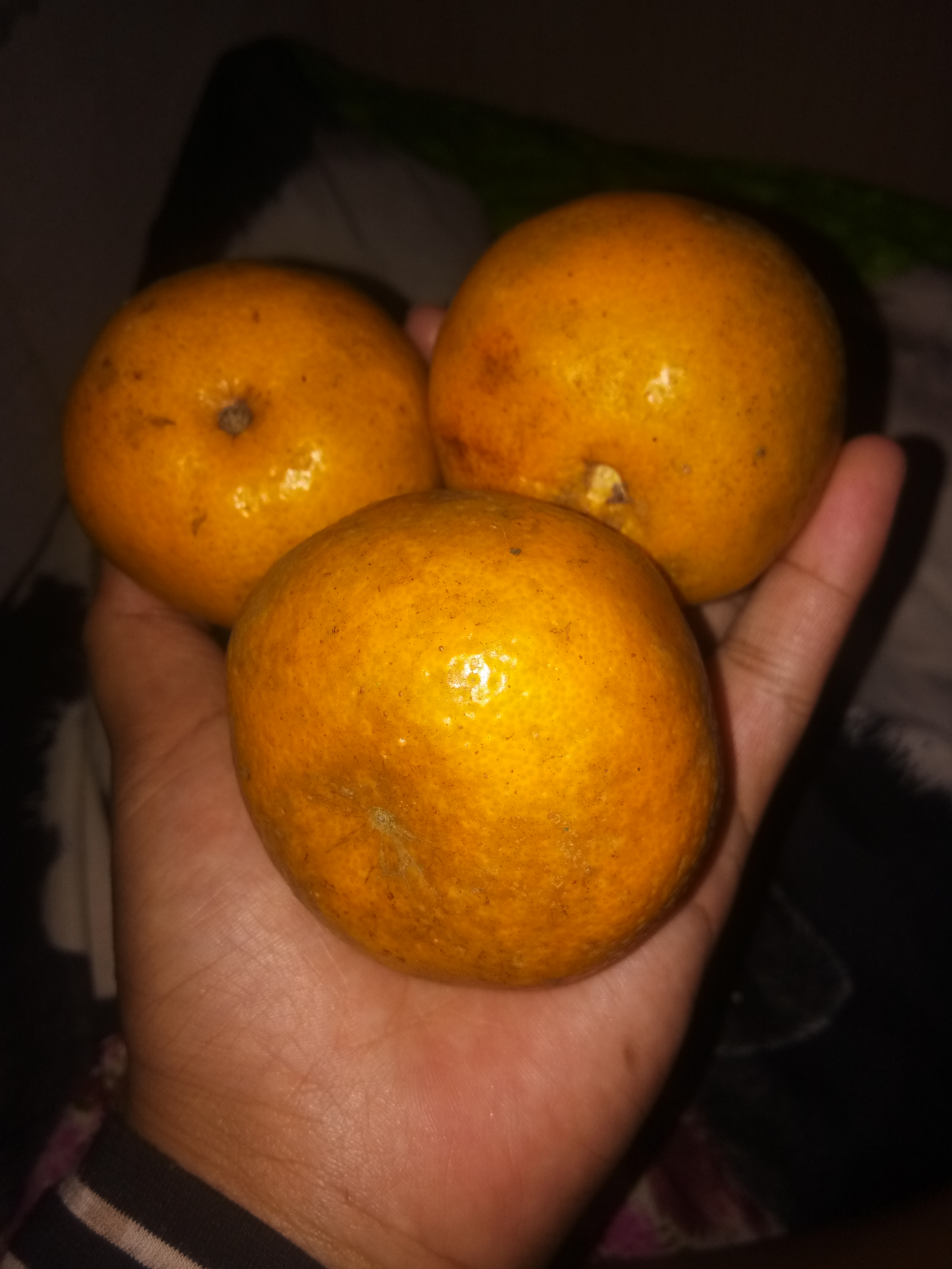 IMG_20220124_101259.jpg