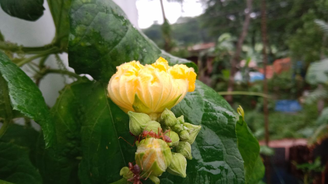 IMG_20251008_094639_276.jpg