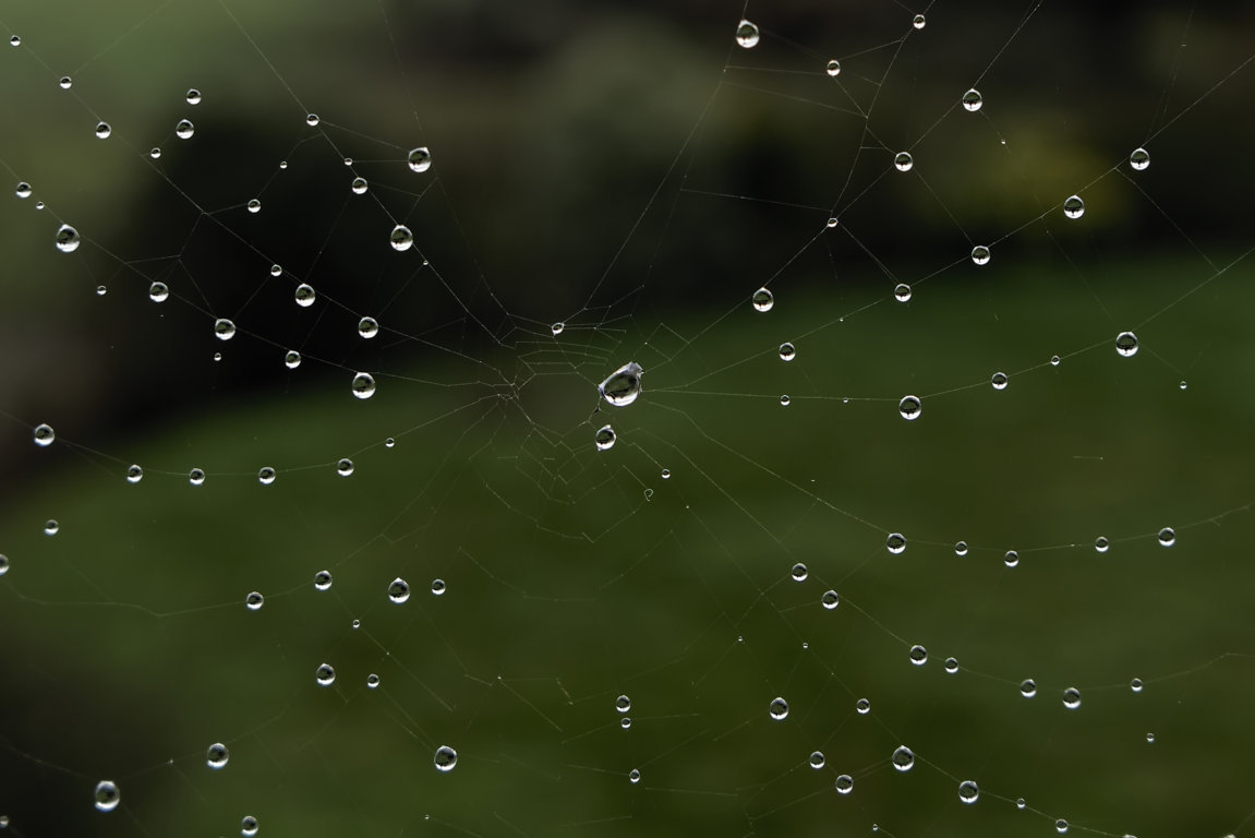 32366897482_7619b79788_o (FILEminimizer).jpg