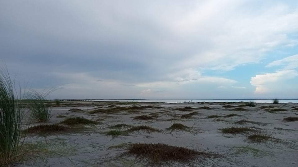 received_387869869367311.jpeg