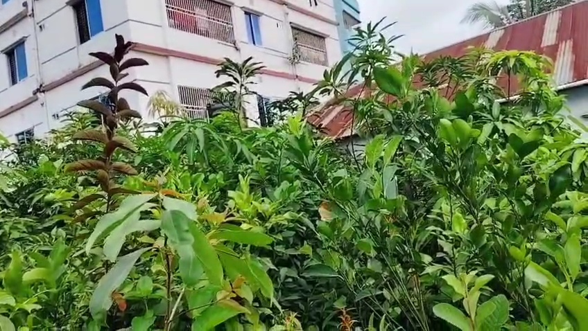 VideoCapture_20260816-201721.jpg