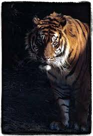 다운로드 (1).jpg