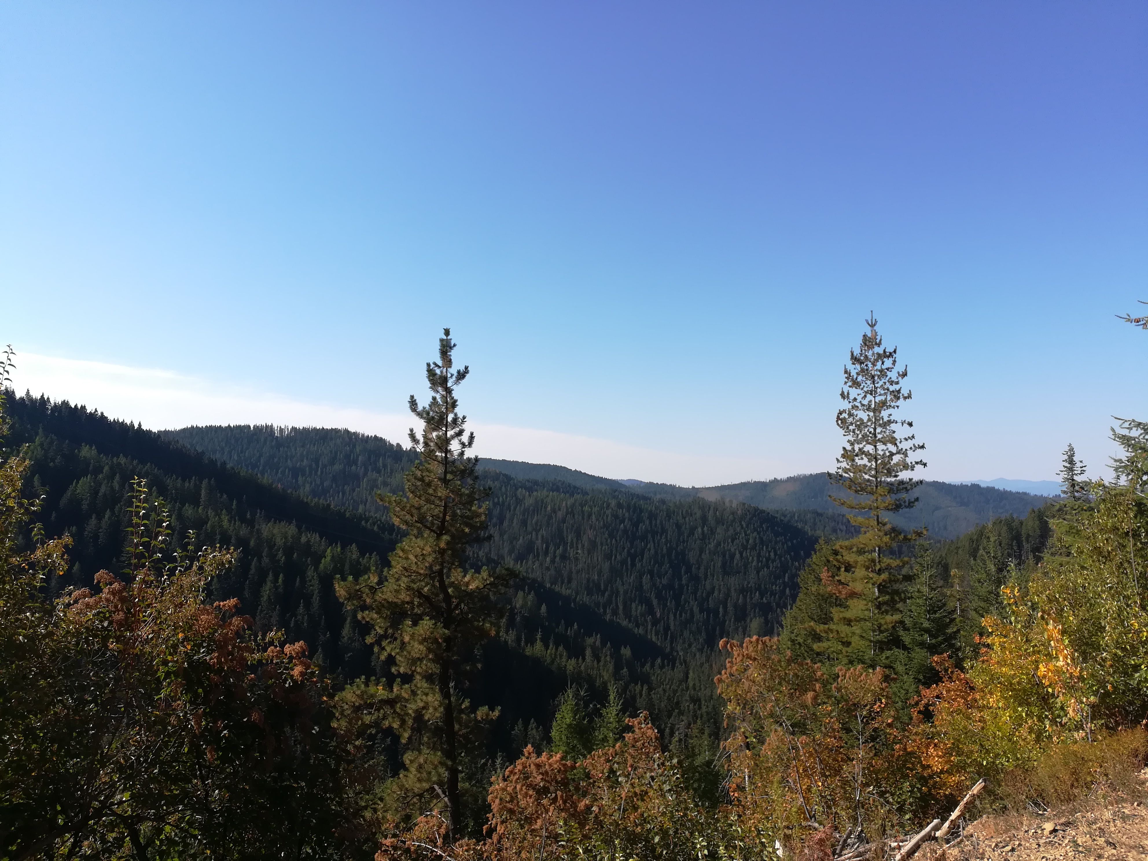 IMG_20180915_093705.jpg