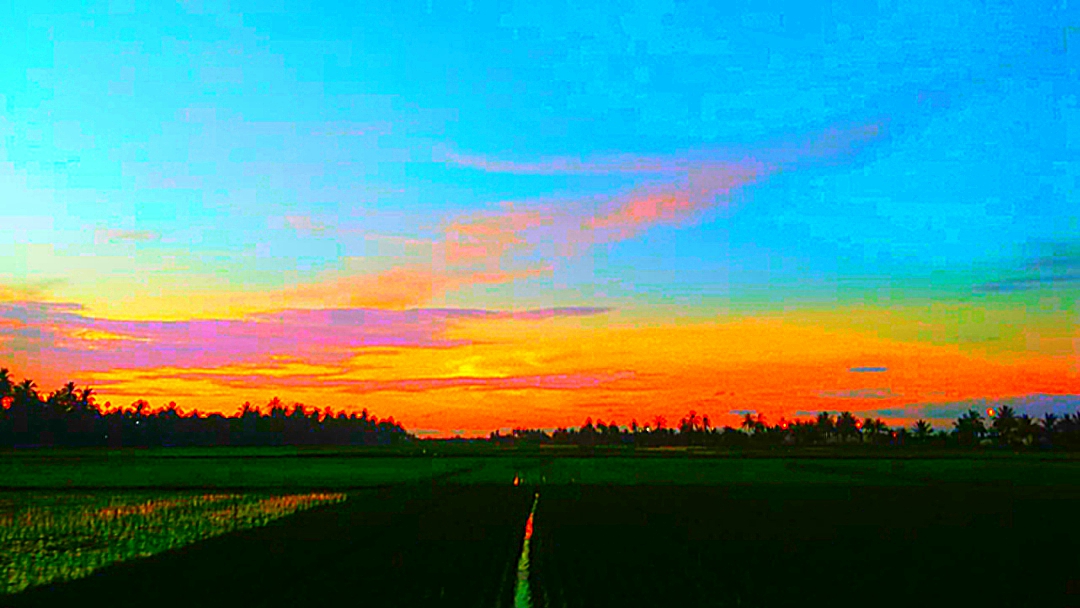 IMG-20210512-WA0016_2.jpg