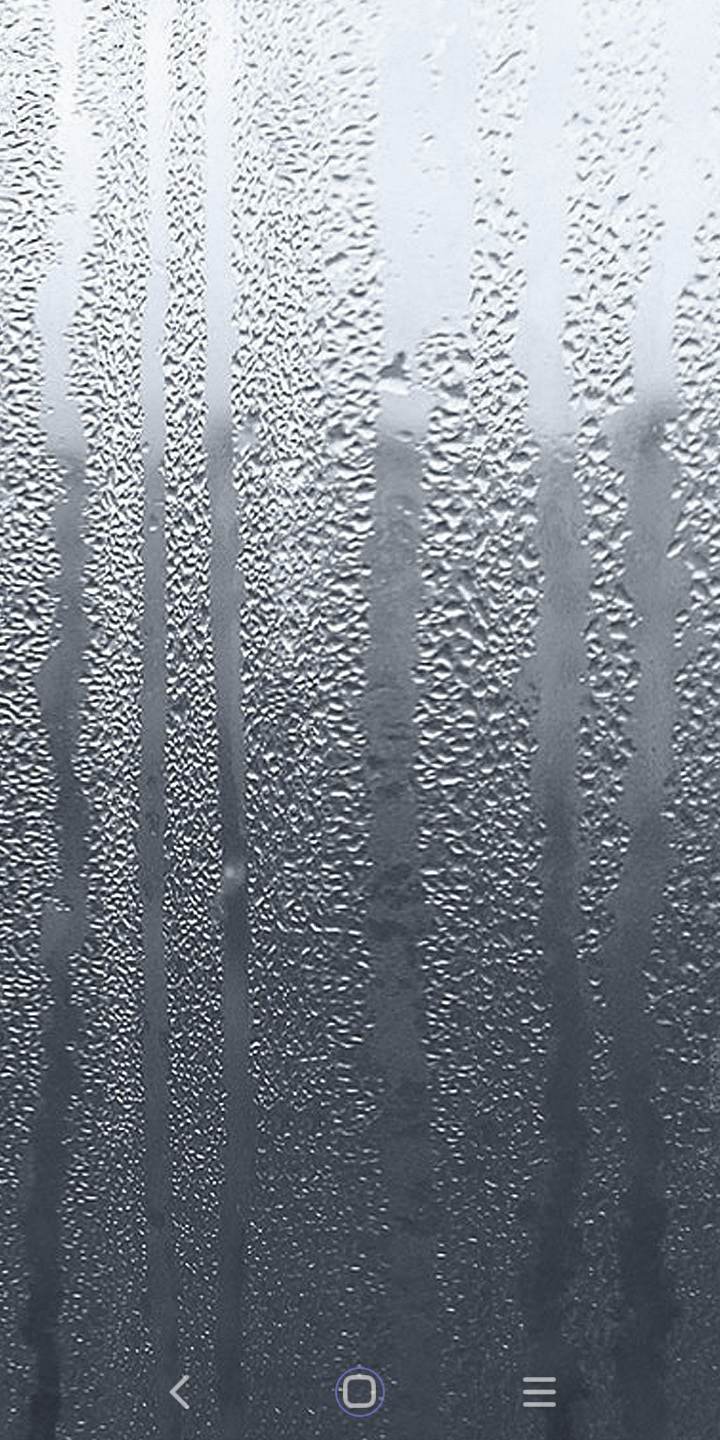 313856584_500744478694232_5402369020179948220_n.jpg