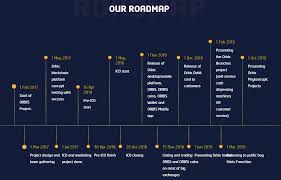 orbis road map.jpeg