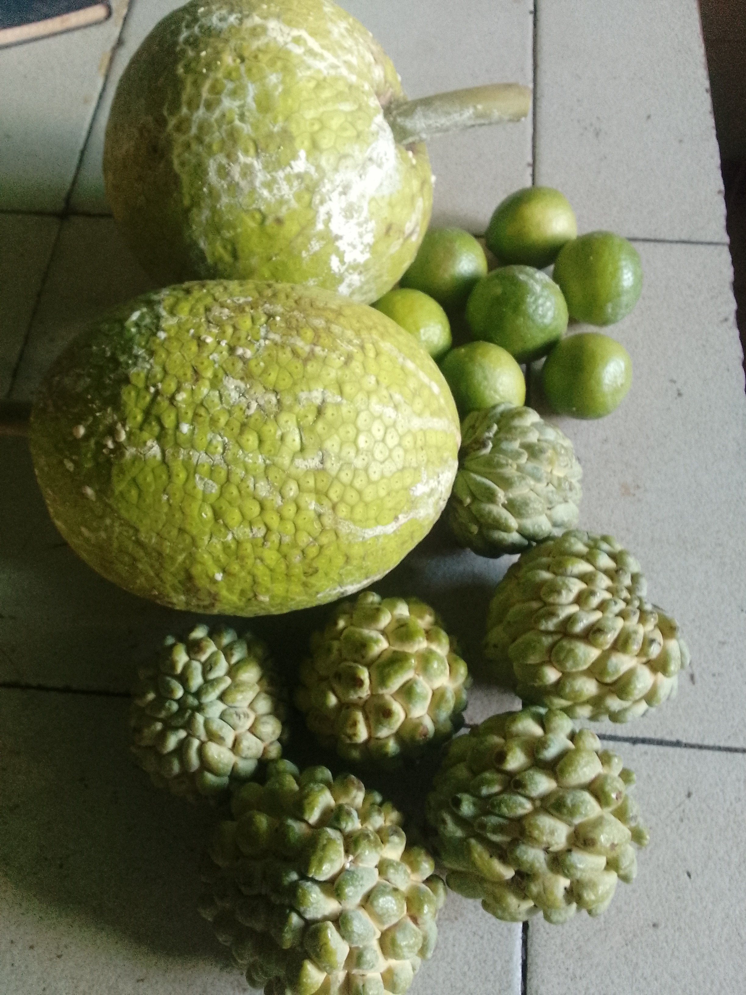 Inesperado Gran Gesto De Mi Amigo,Muy Agradecida🥰🙏🫂