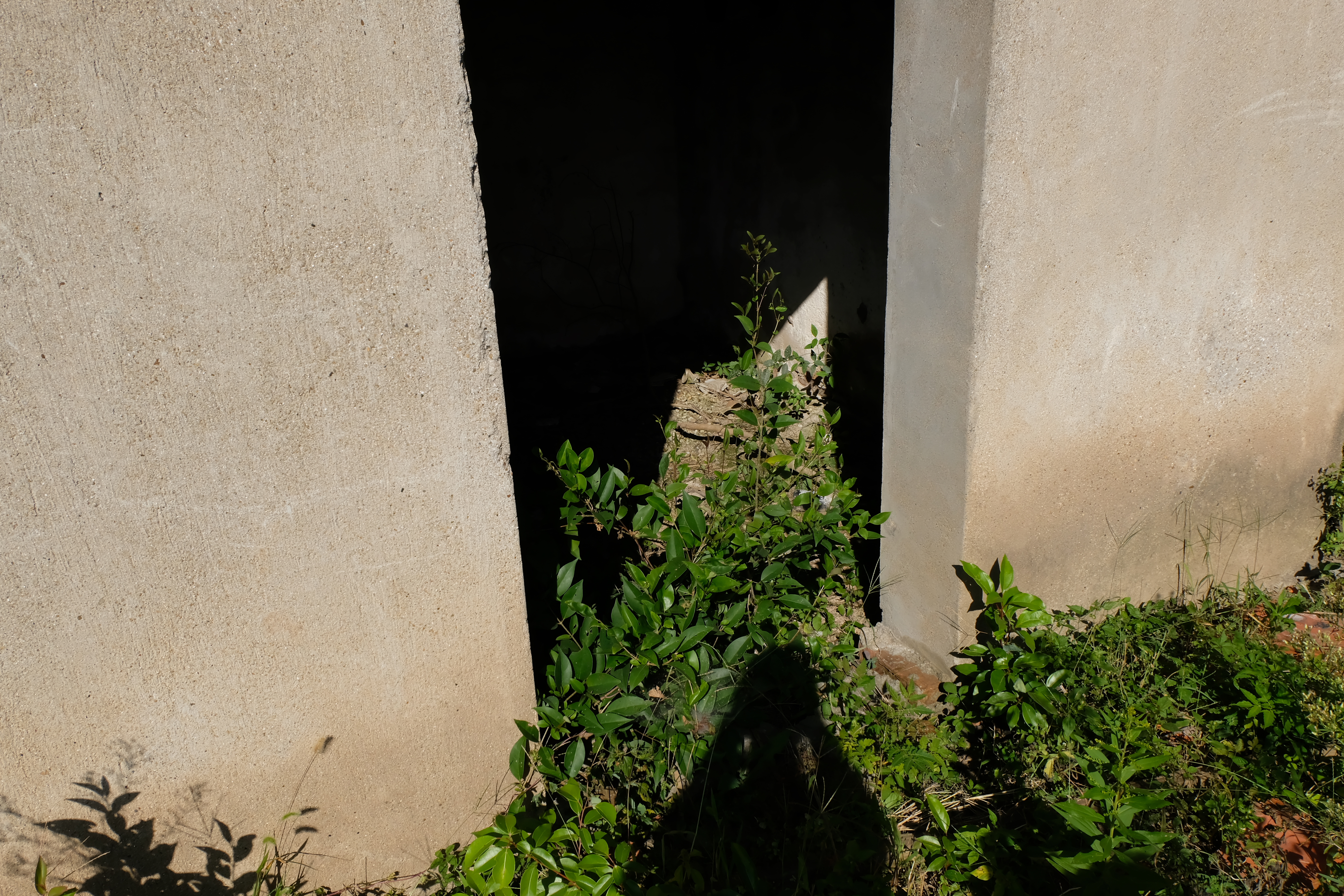 DSCF0910.jpg
