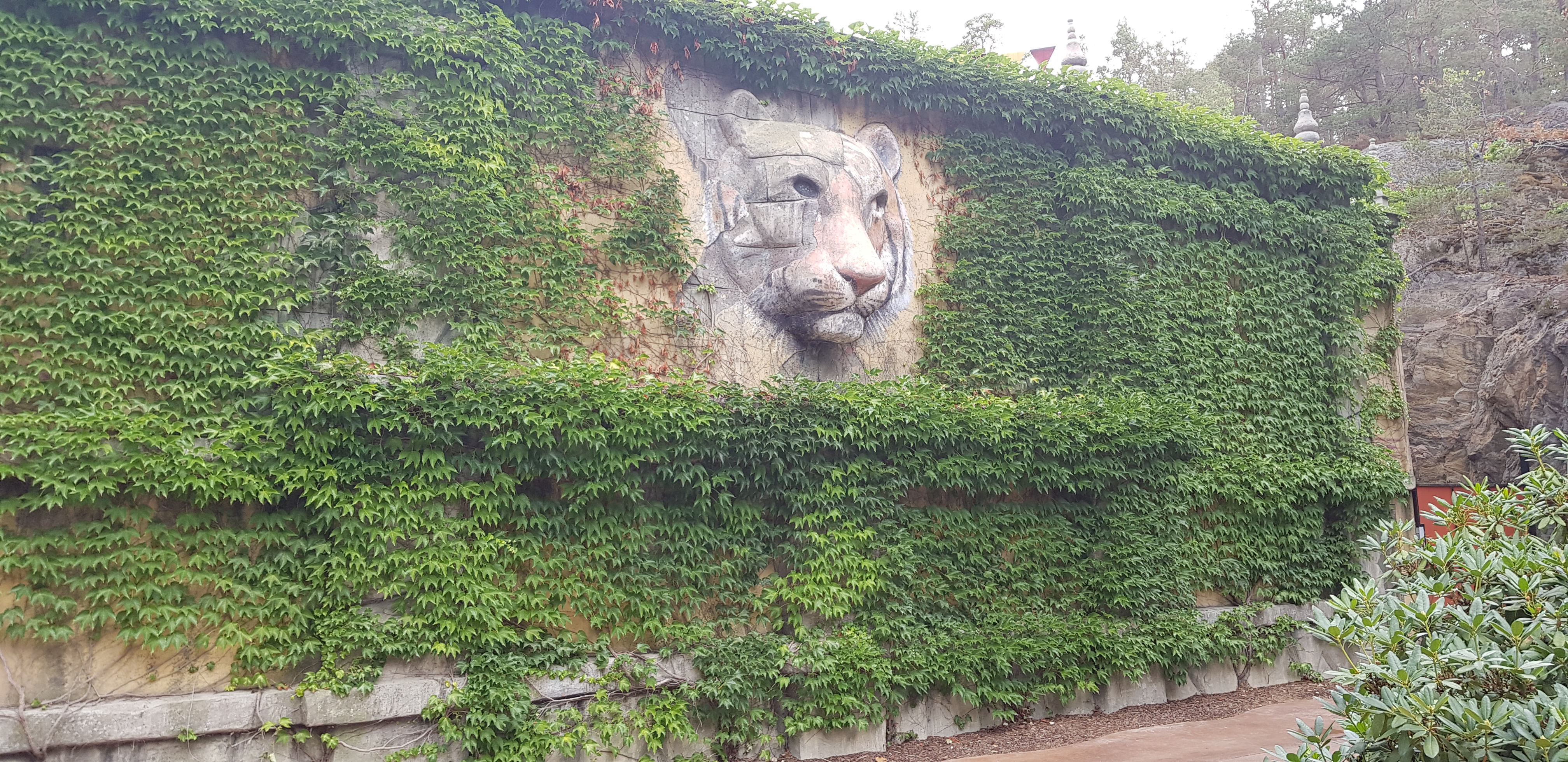 20180729_130941.jpg