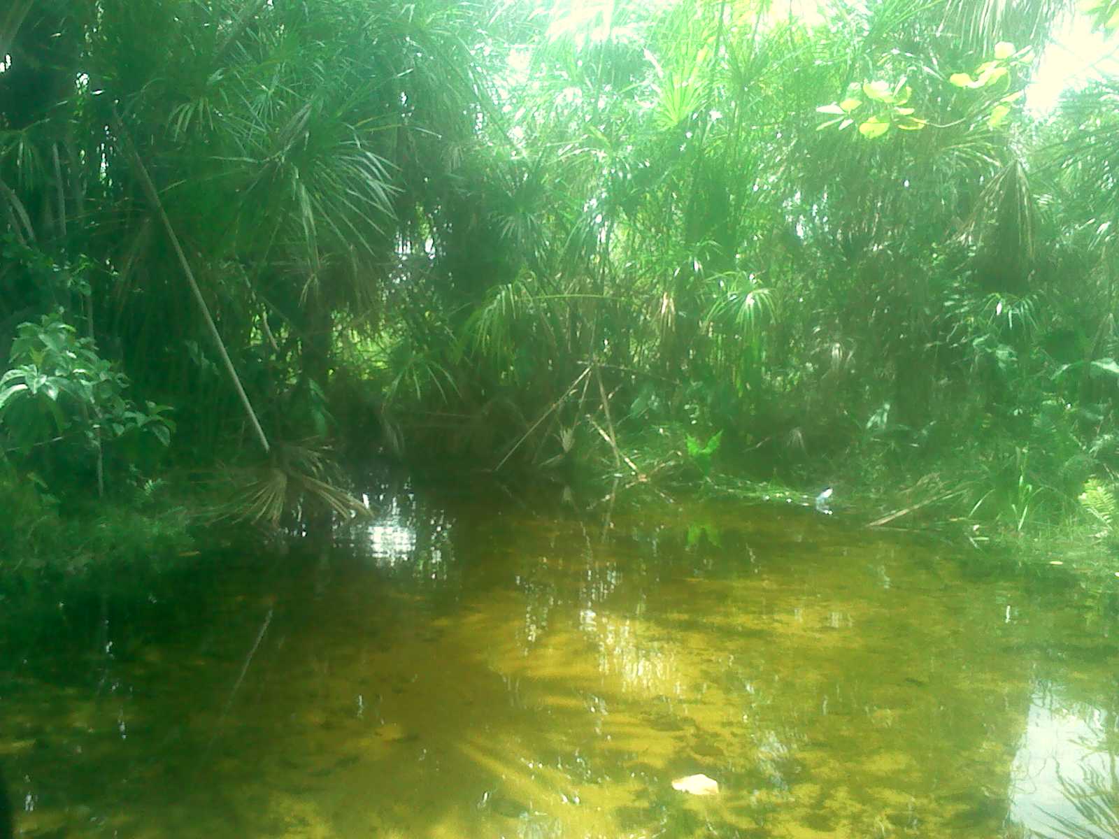 IMG20140617125038.jpg