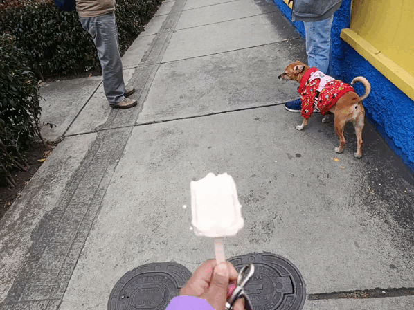 150101.gif