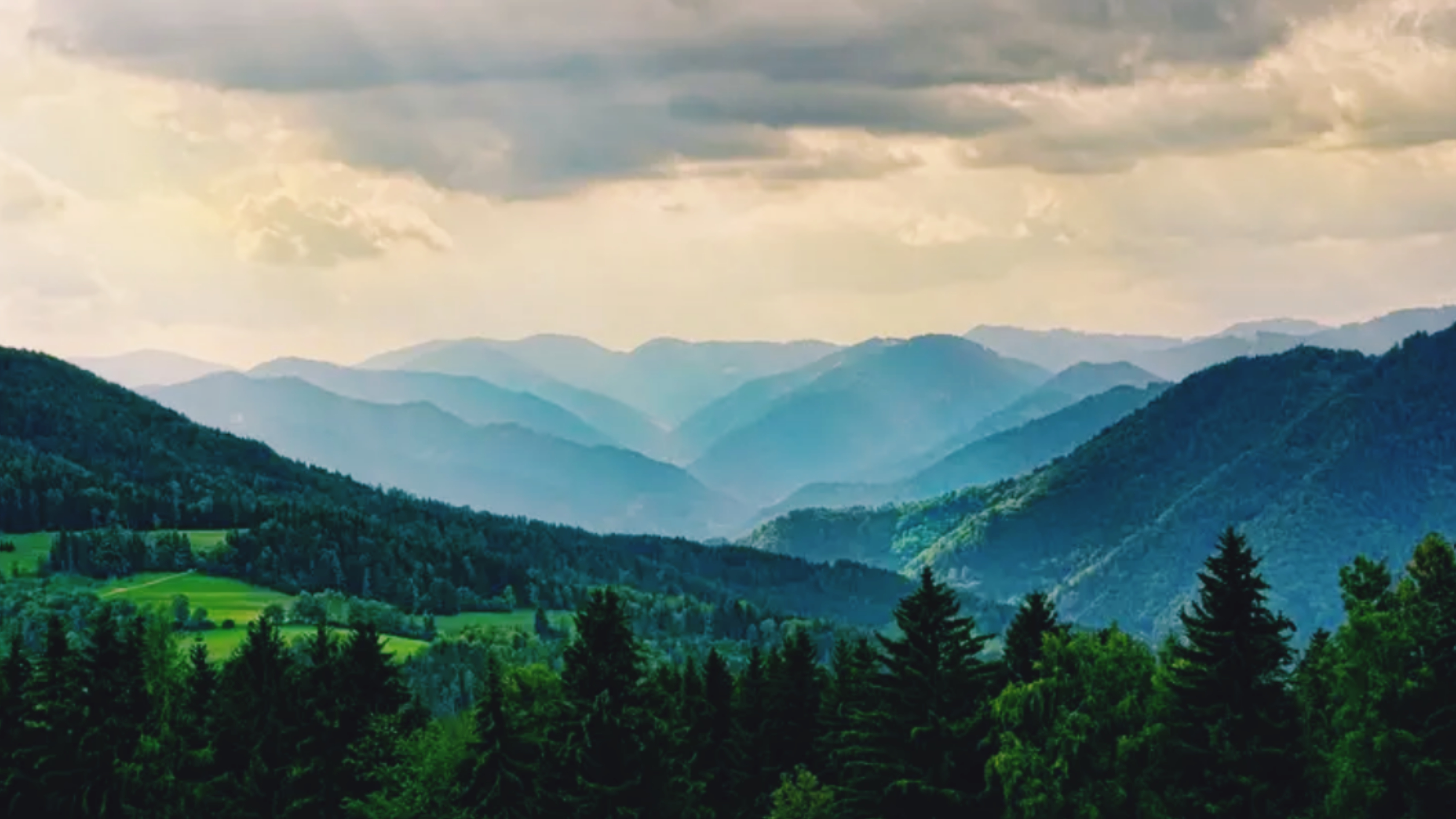 InShot_20210415_161533018.jpg