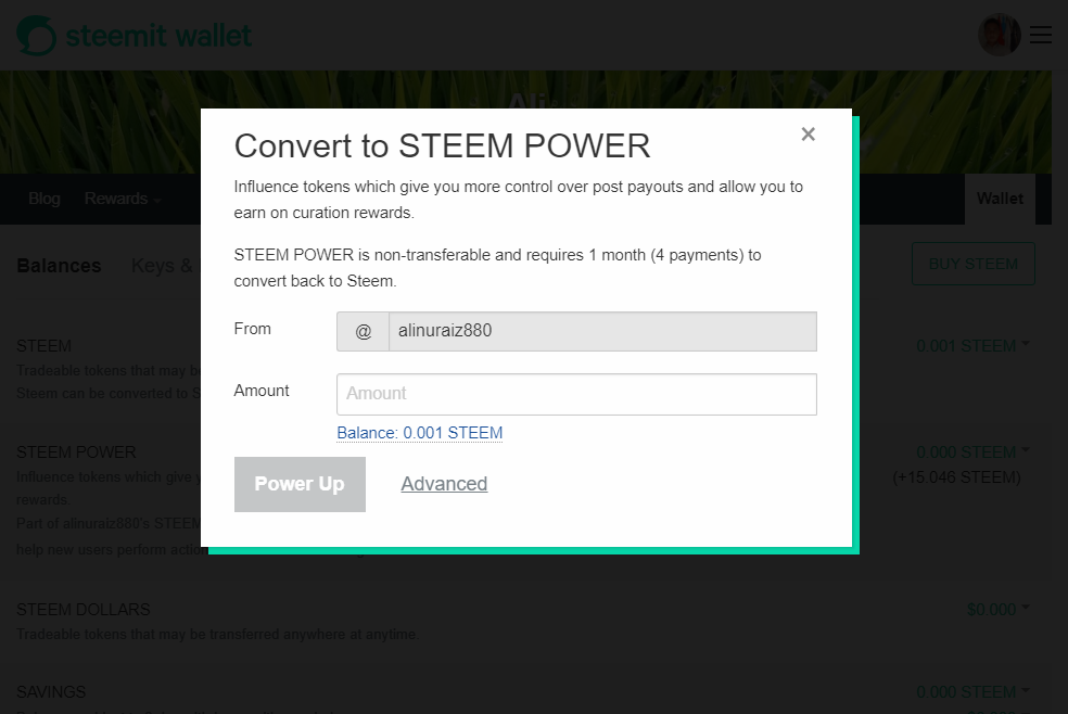 Opera Snapshot_2022-01-22_152034_steemitwallet.com.png