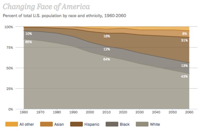 Changing Face of America.jpg
