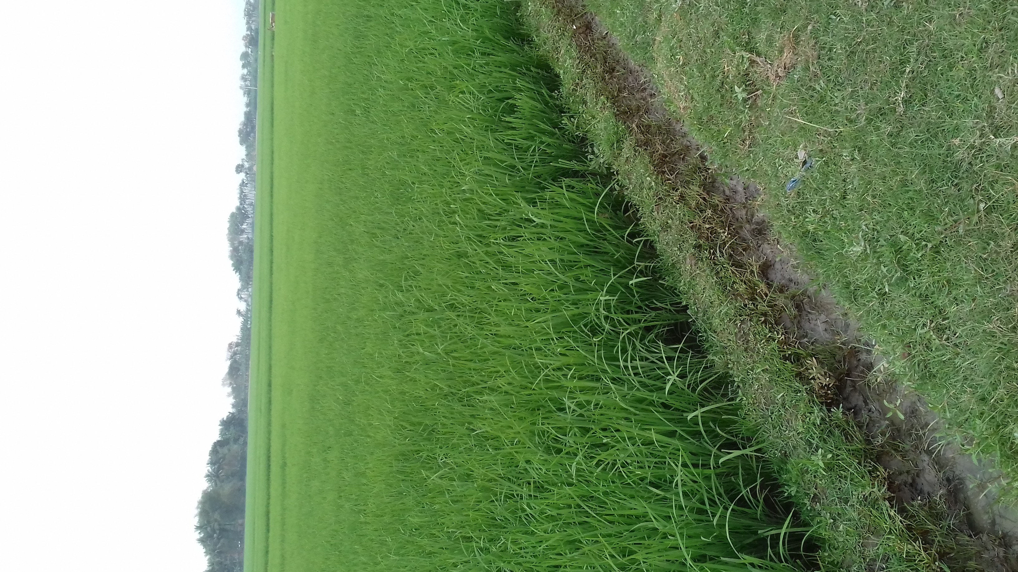 20200317_174322.jpg