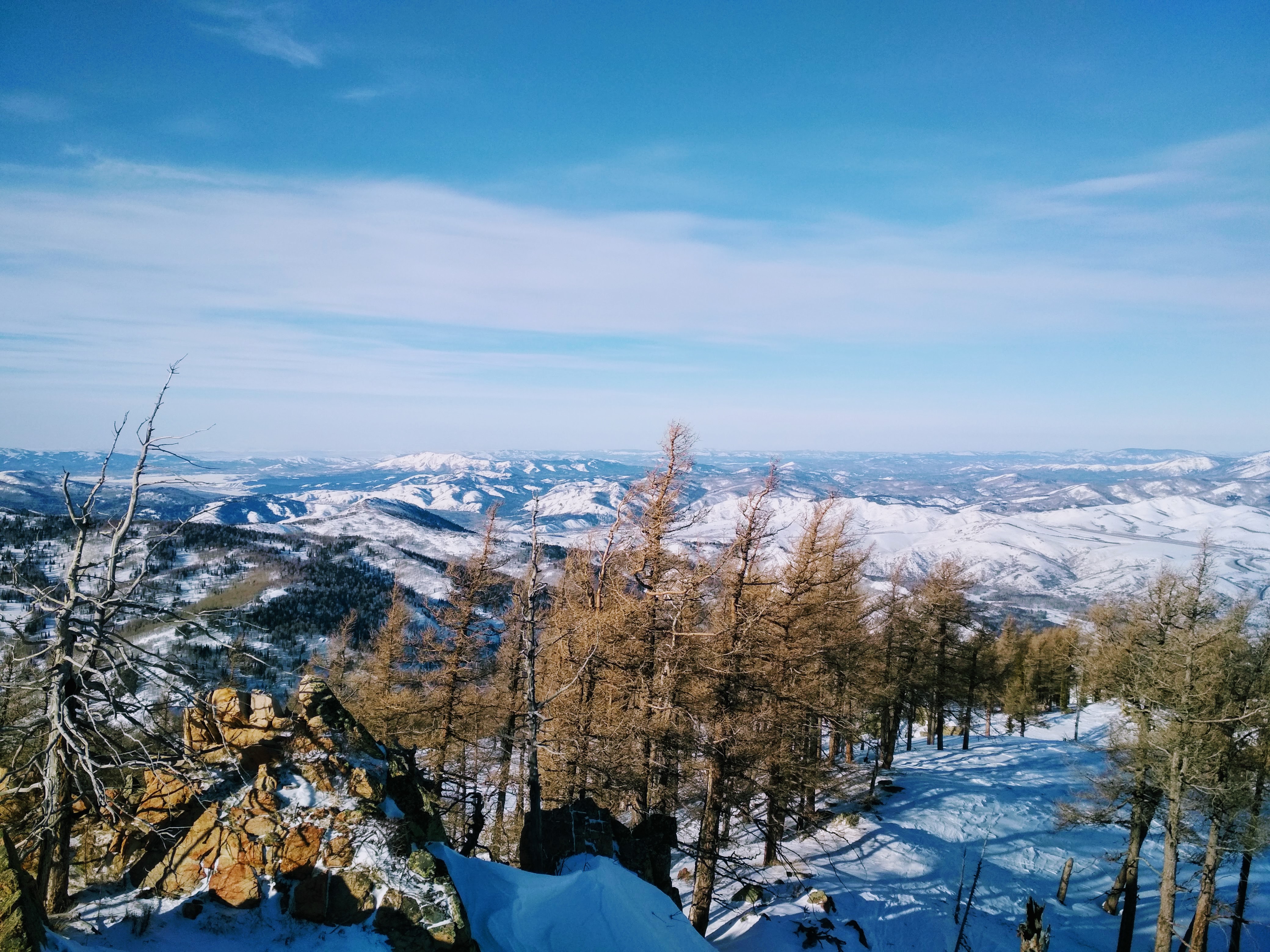 IMG_20190120_123652 (1).jpg