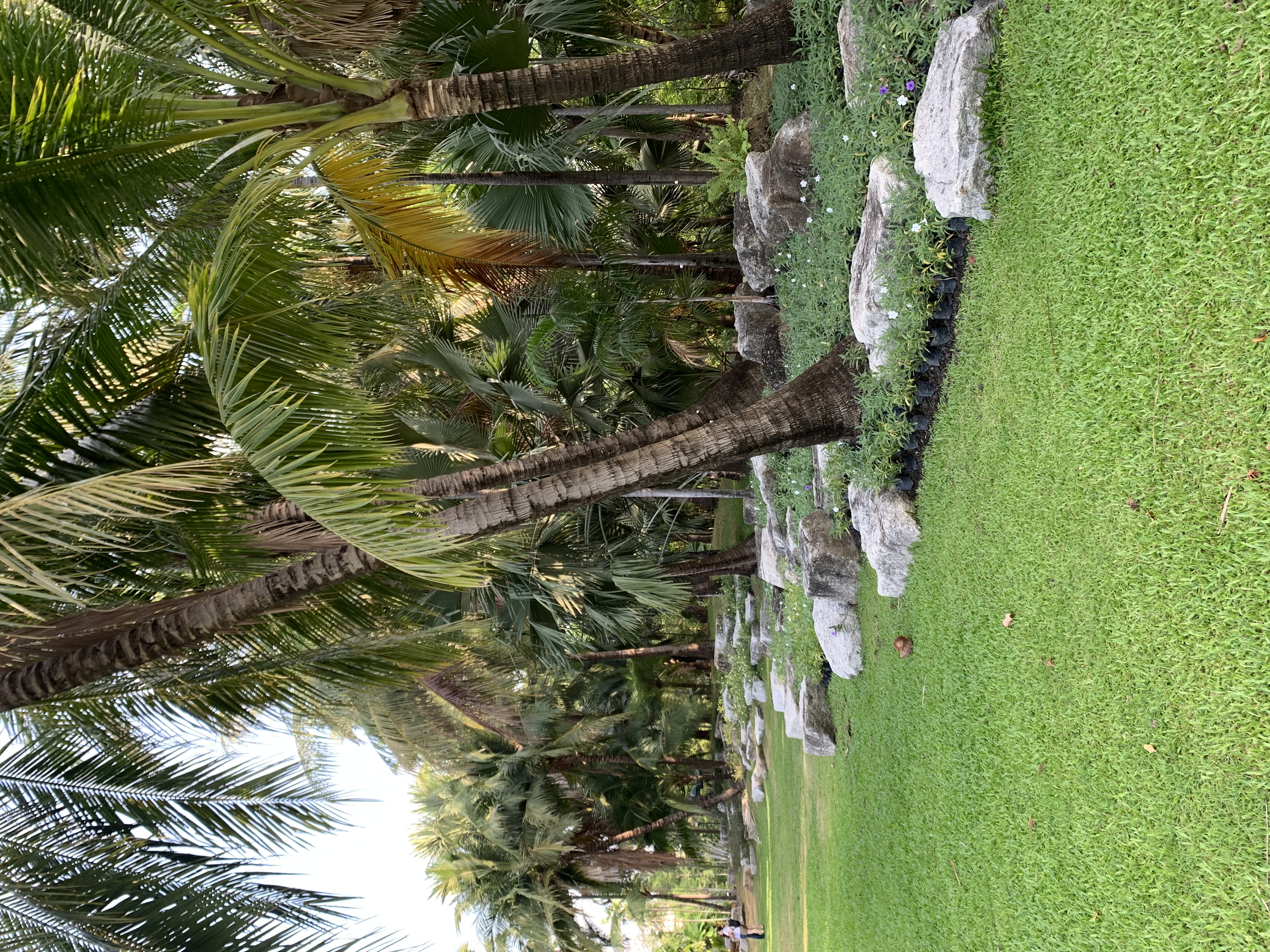 Stone Park4.jpg