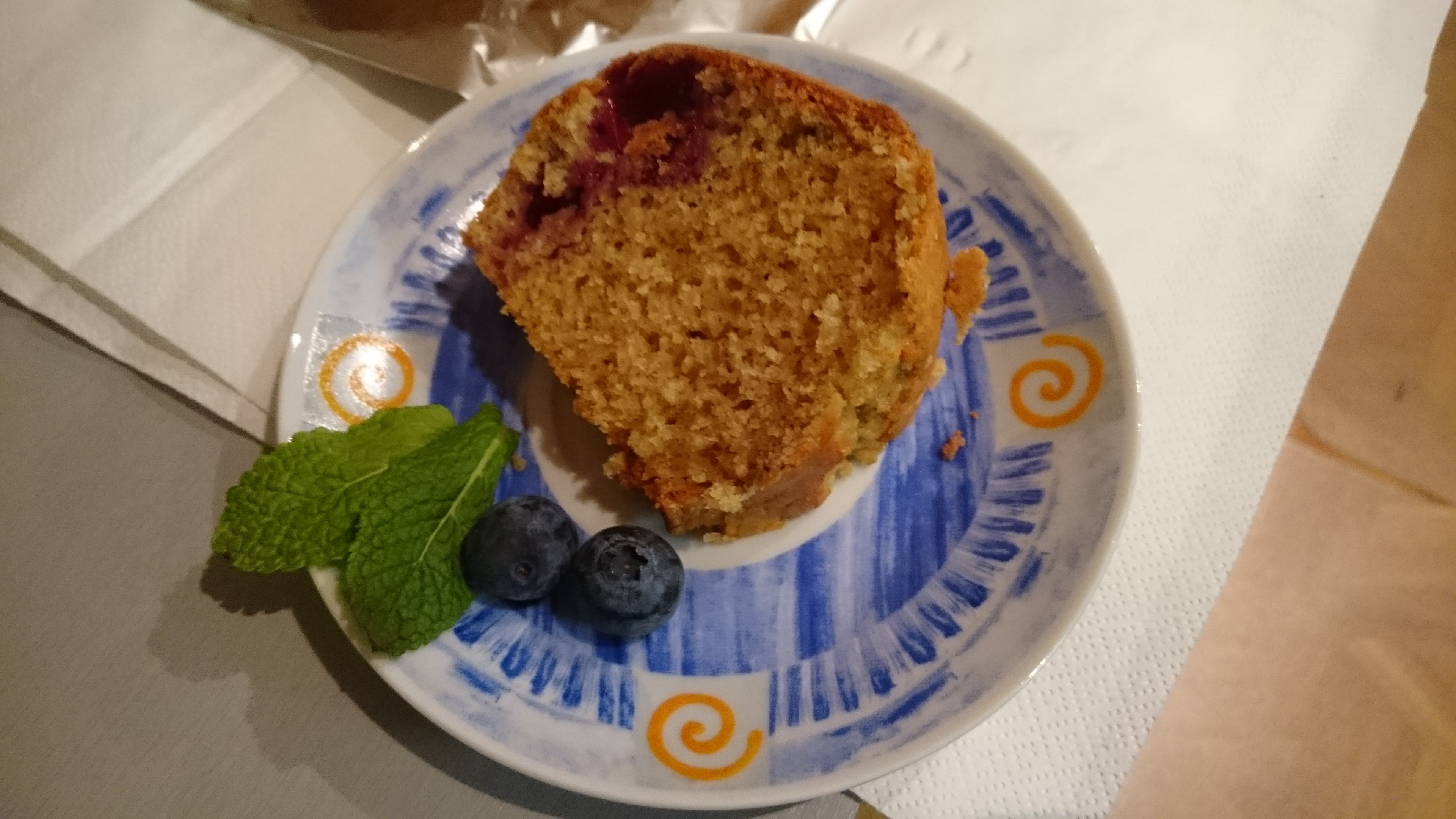 Plain with fresh blueberries 2