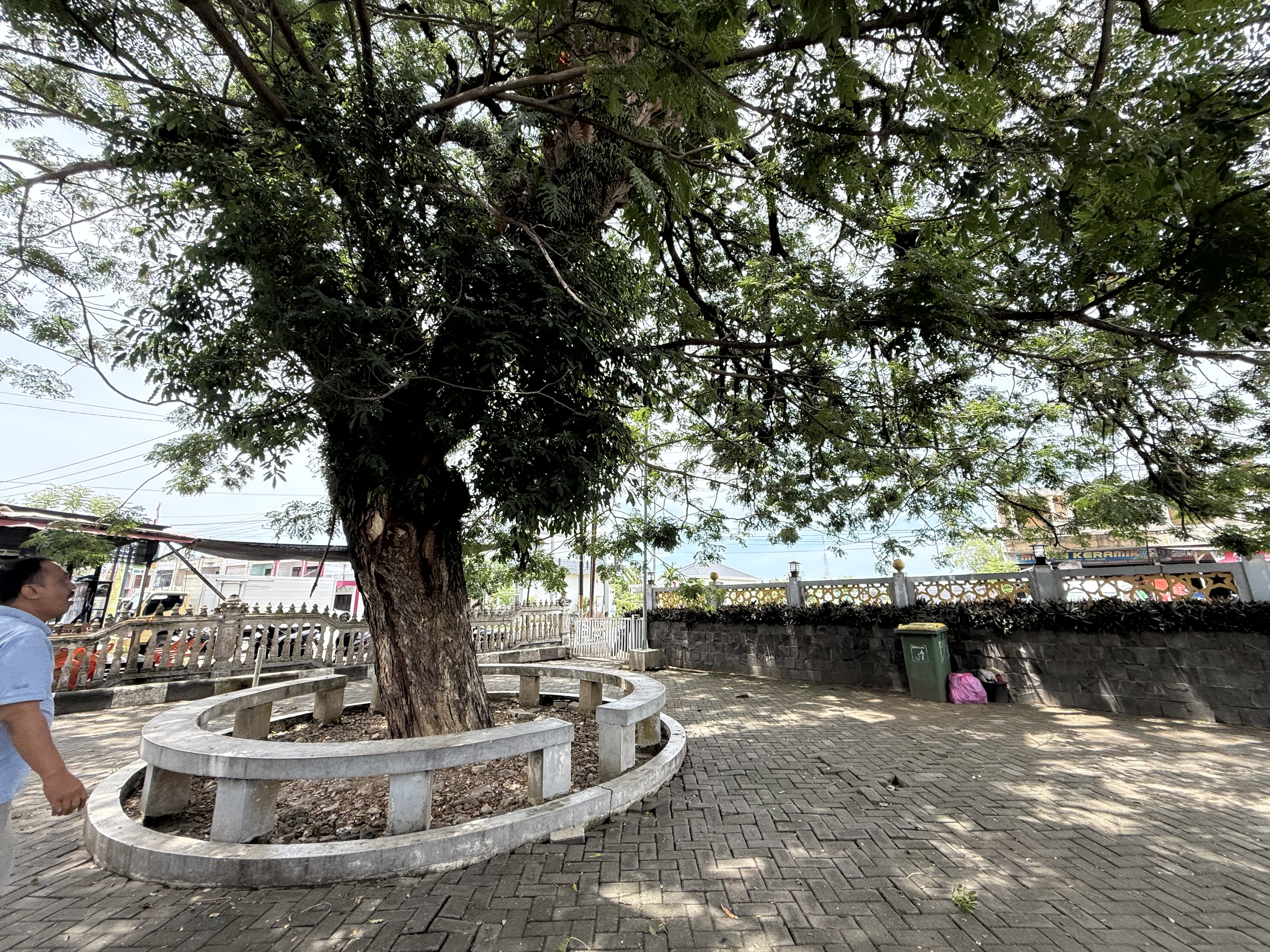 IMG_6113.jpeg