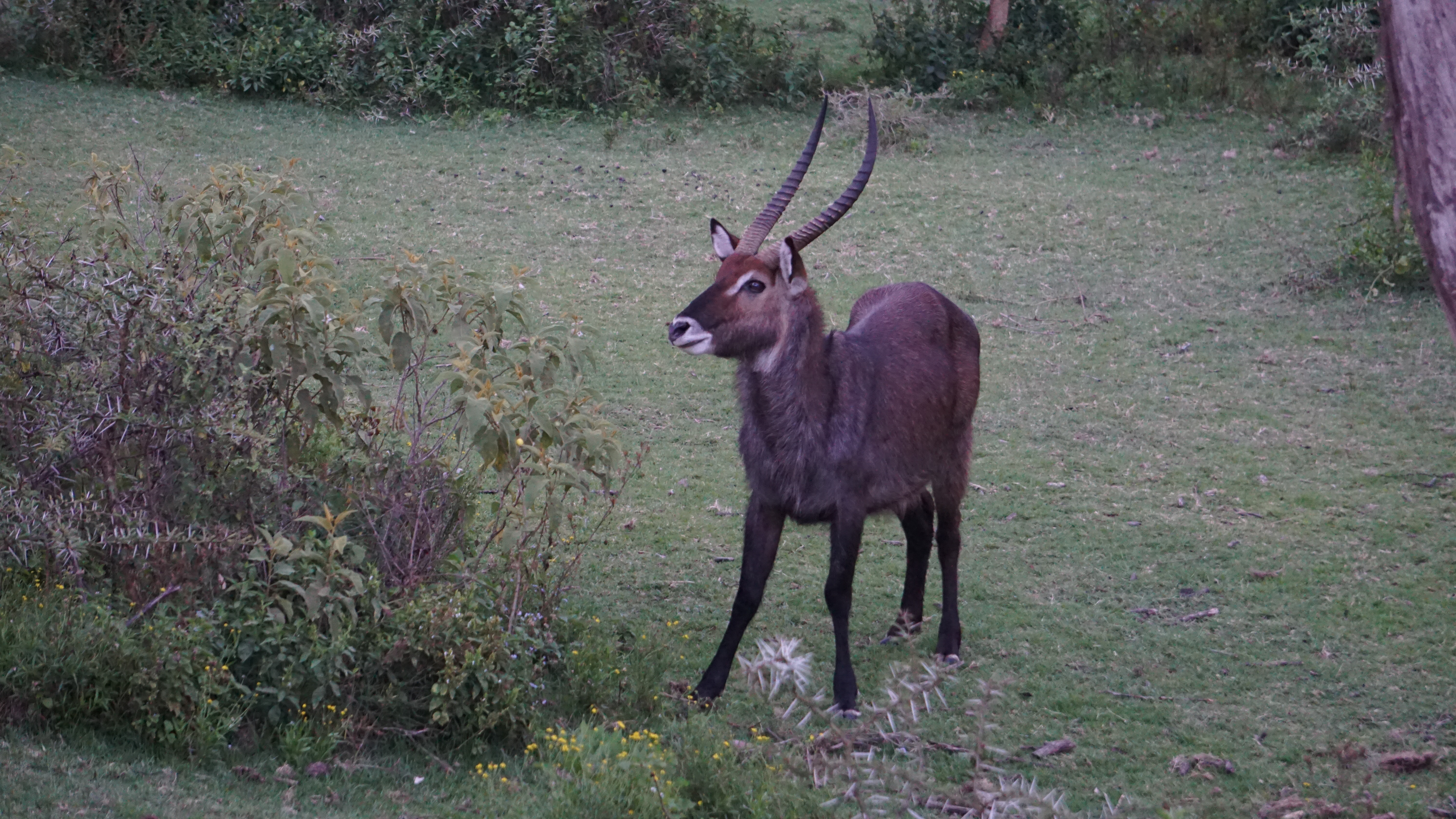 DSC03609.JPG