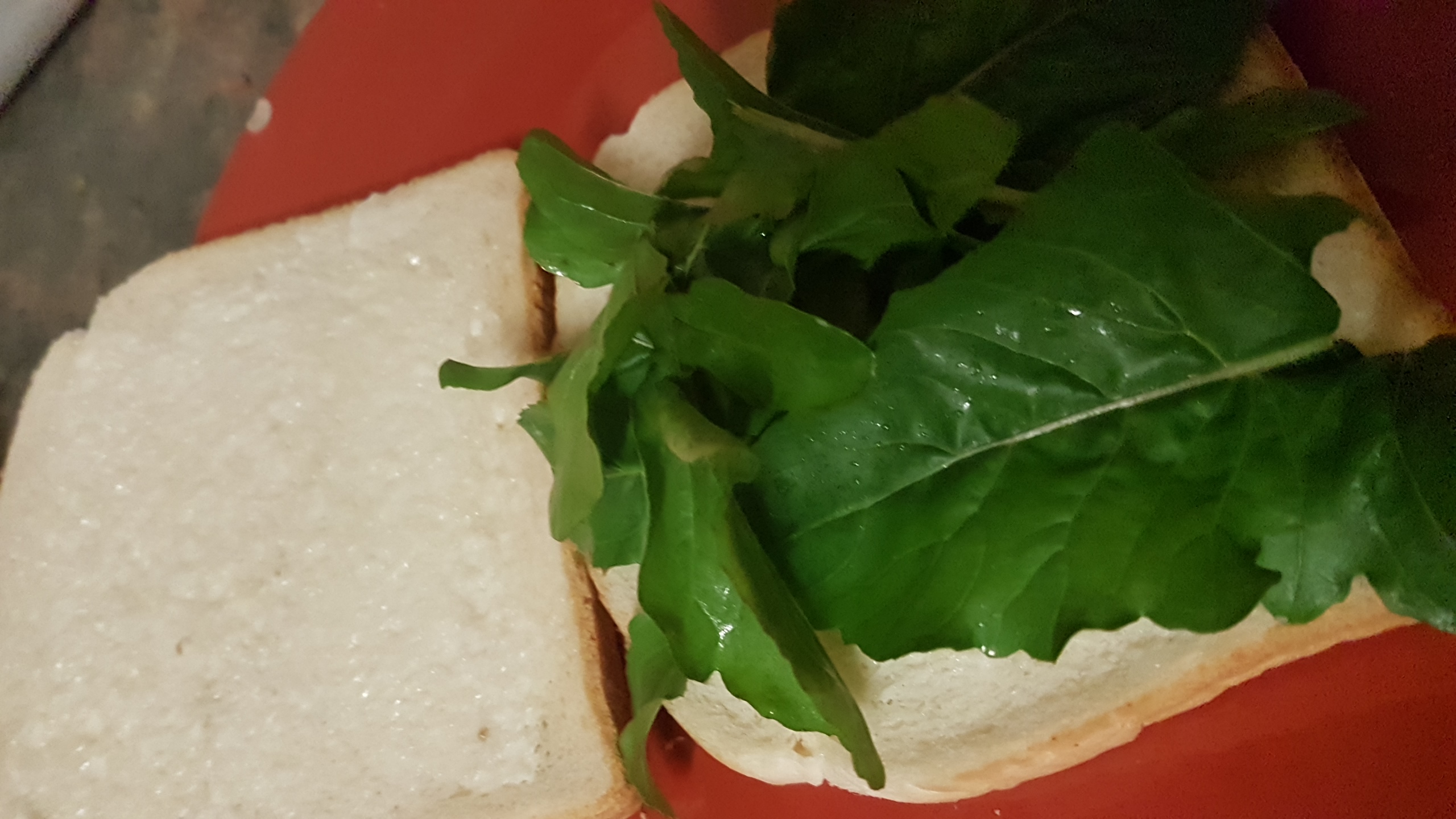 20180816_213925.jpg