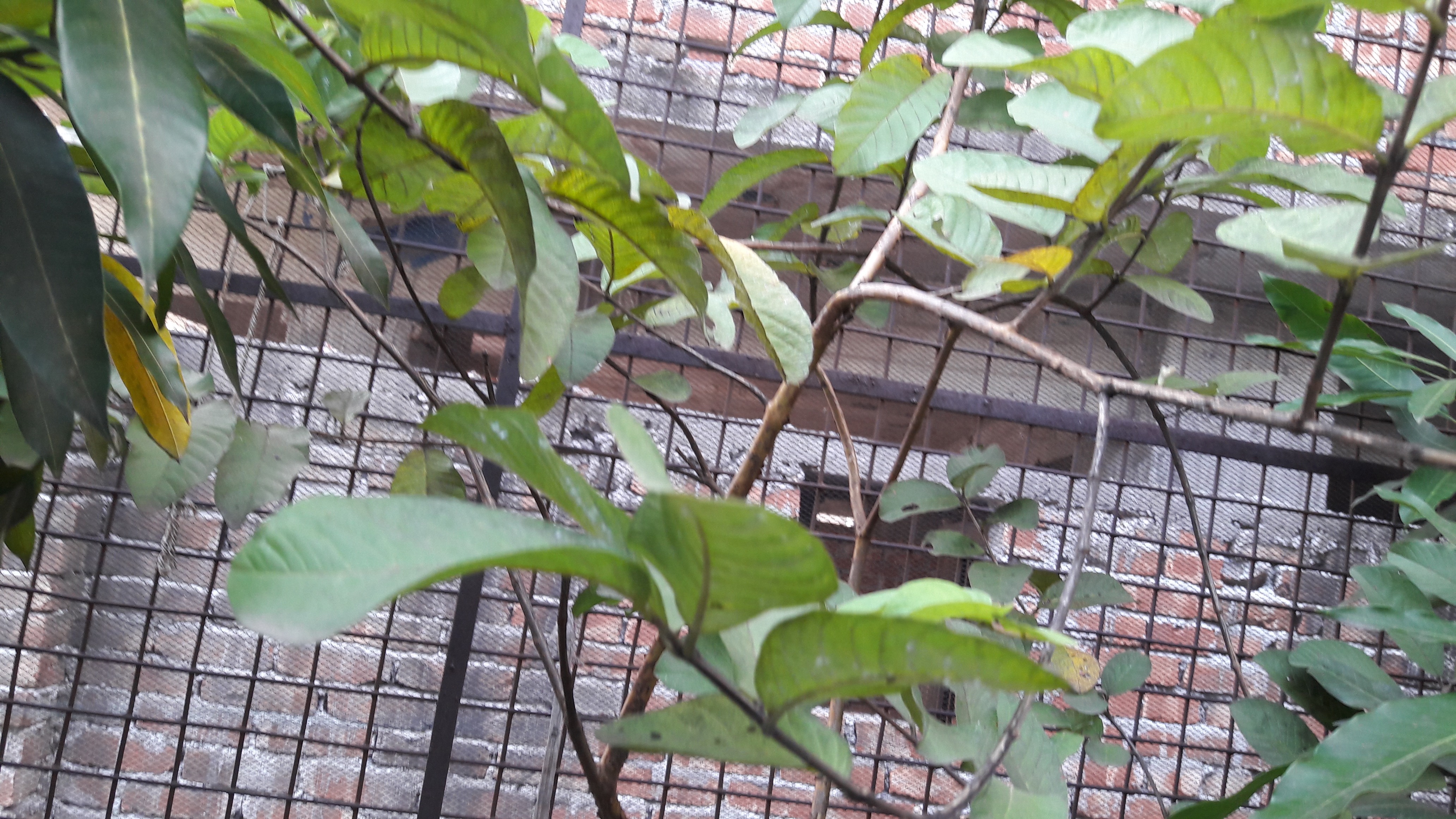 20180904_124518.jpg