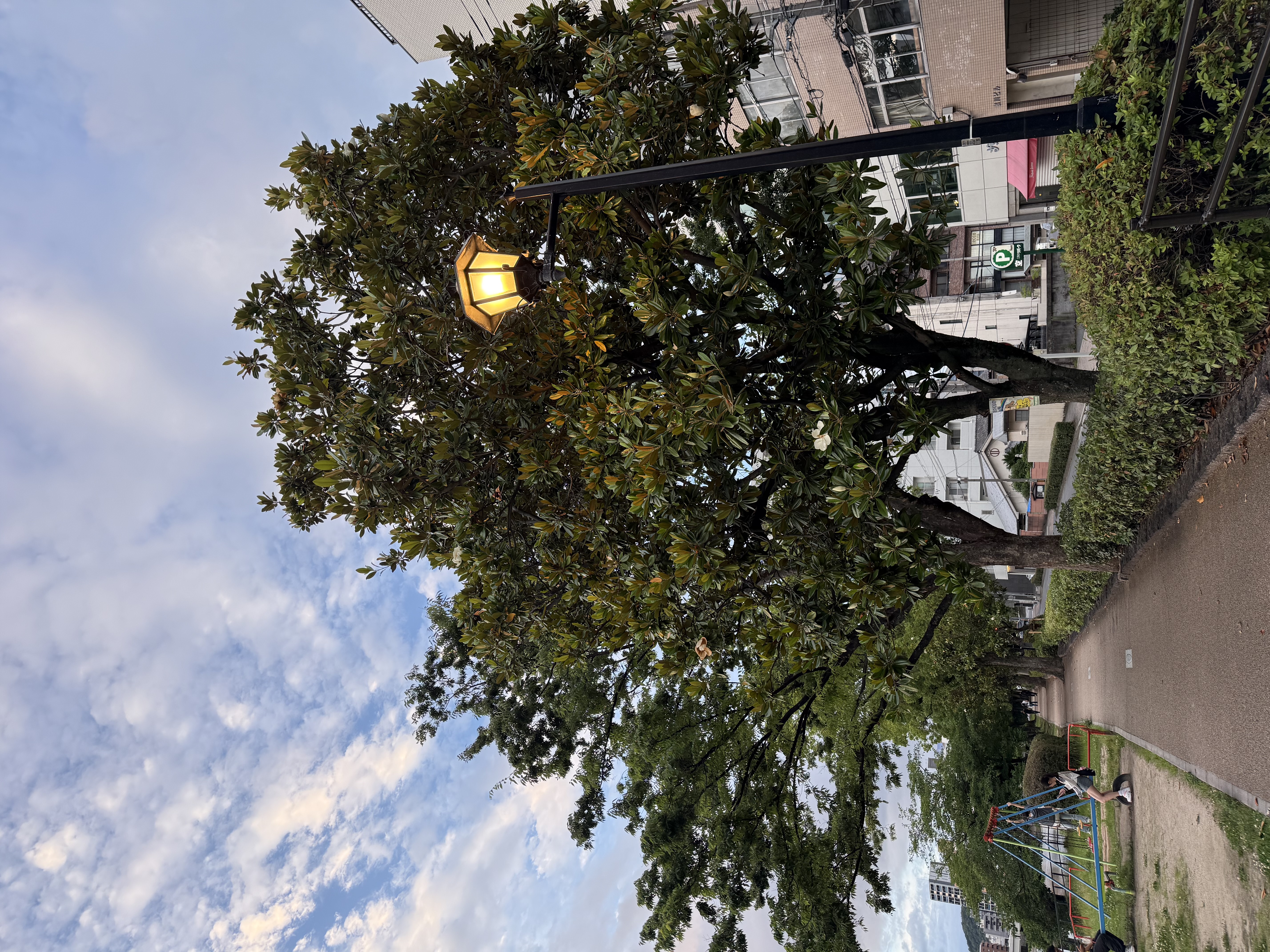 IMG_2109.jpeg