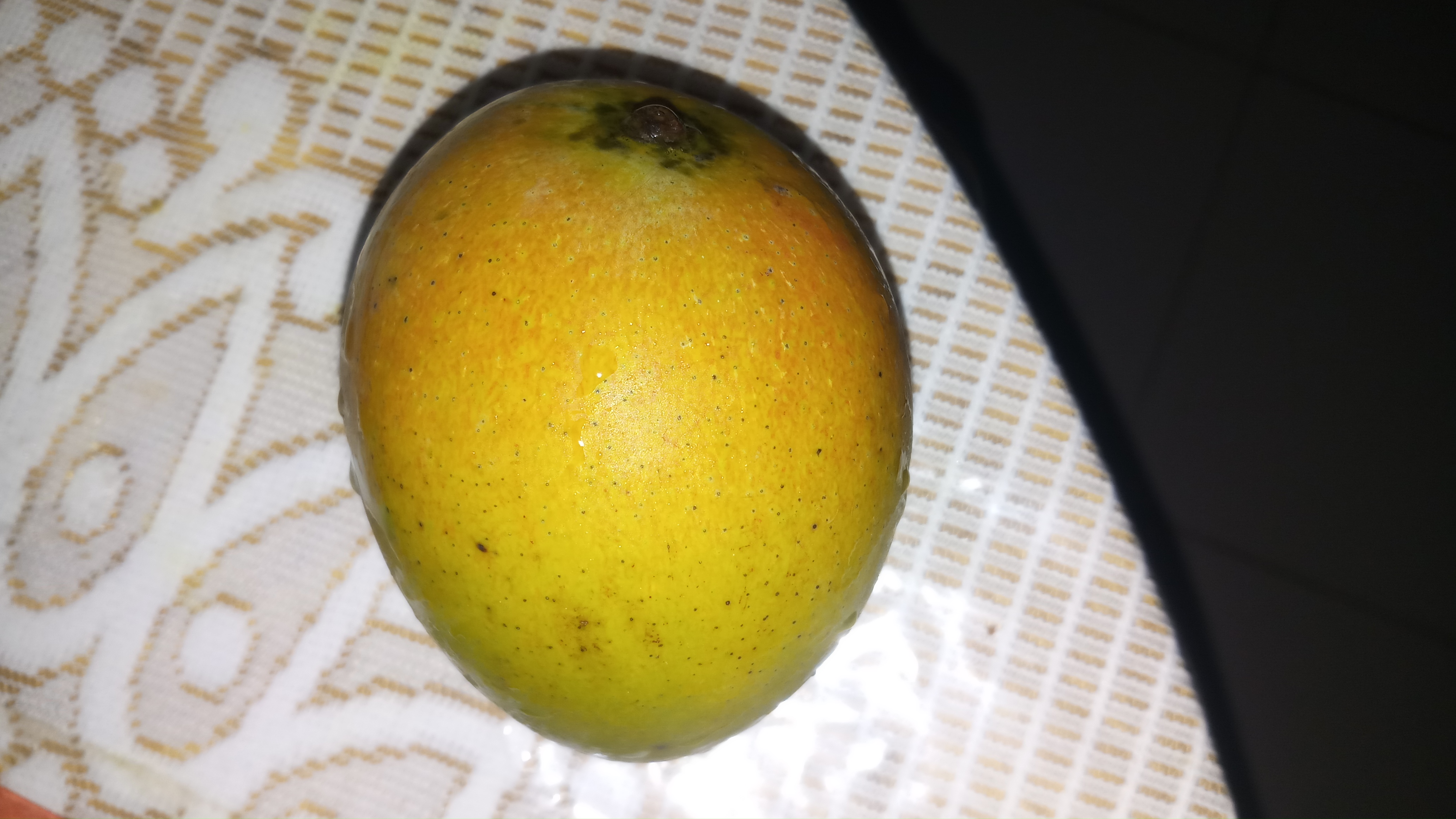 20190712_194015.jpg
